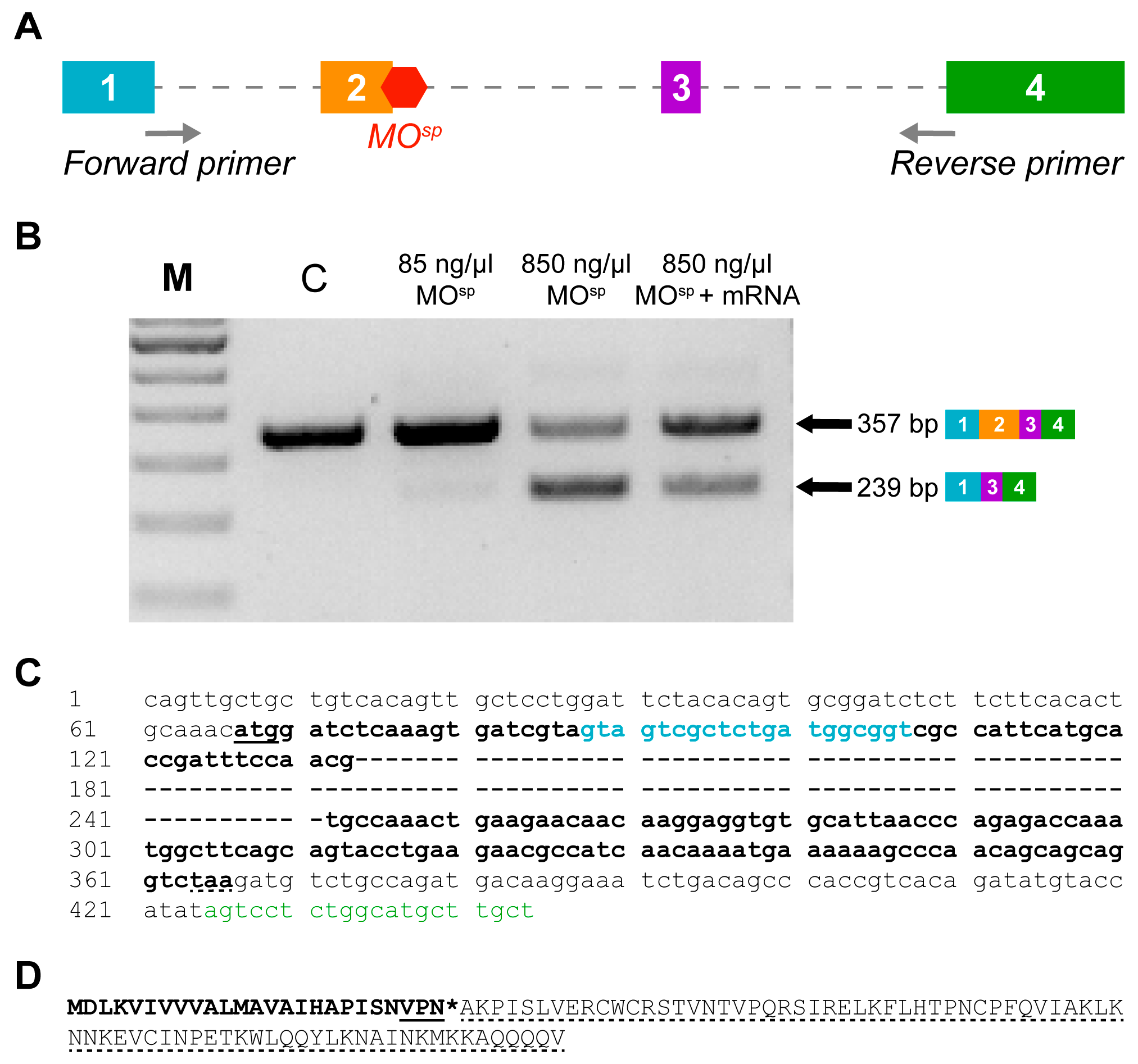 Cells 12 01399 g001 Cells 12 01399 g001