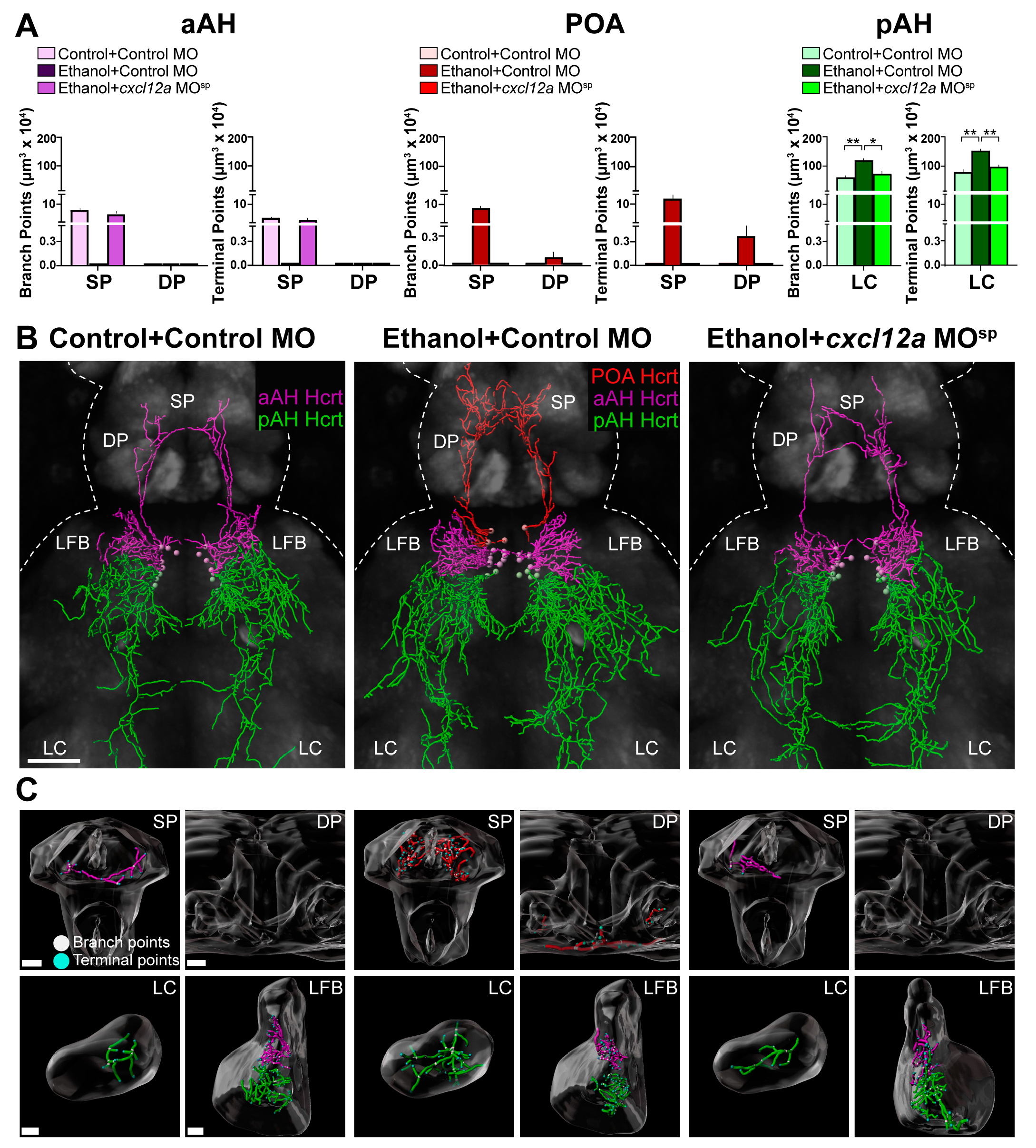 Cells 12 01399 g005 Cells 12 01399 g005