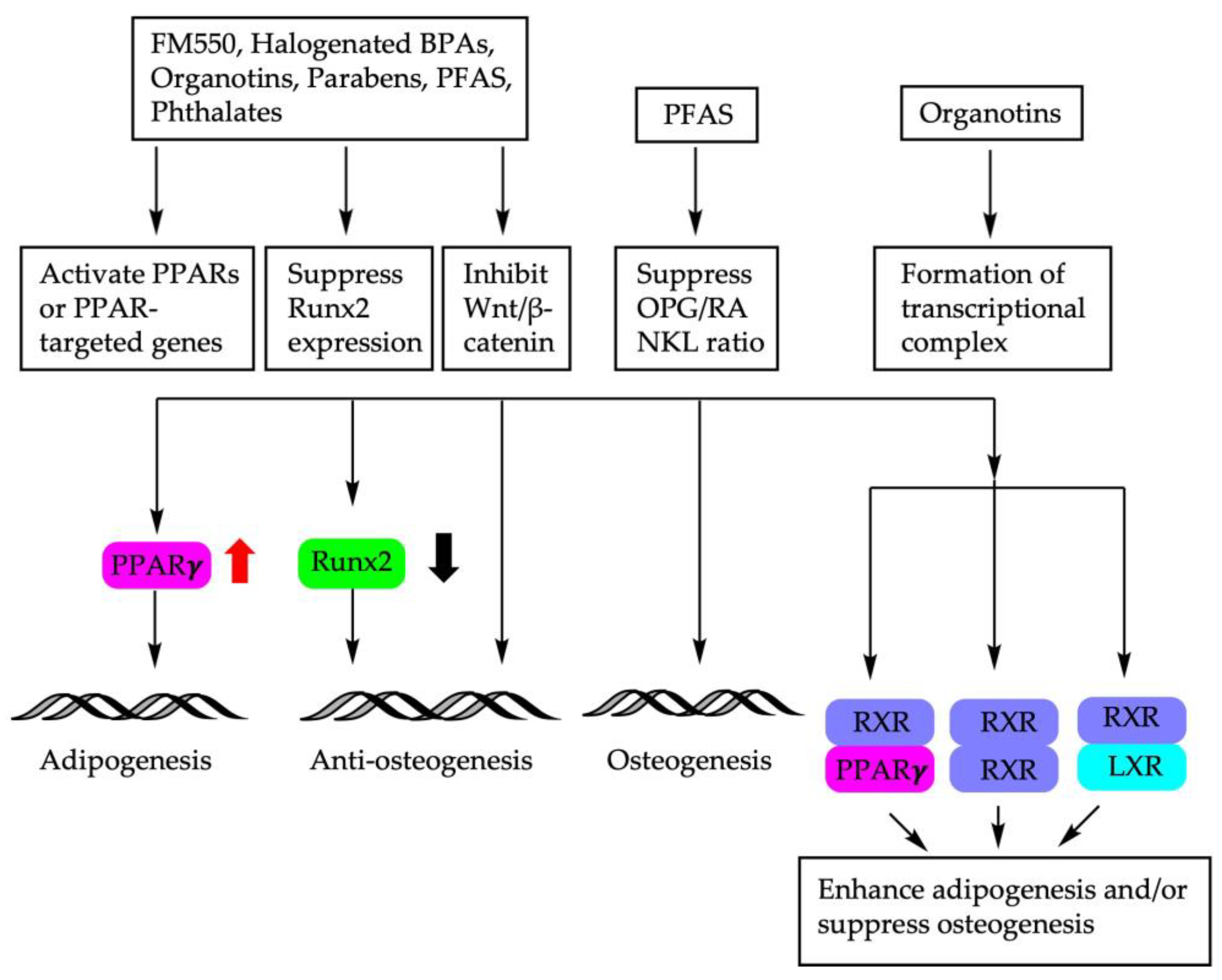 Cells 12 01400 g002 Cells 12 01400 g002