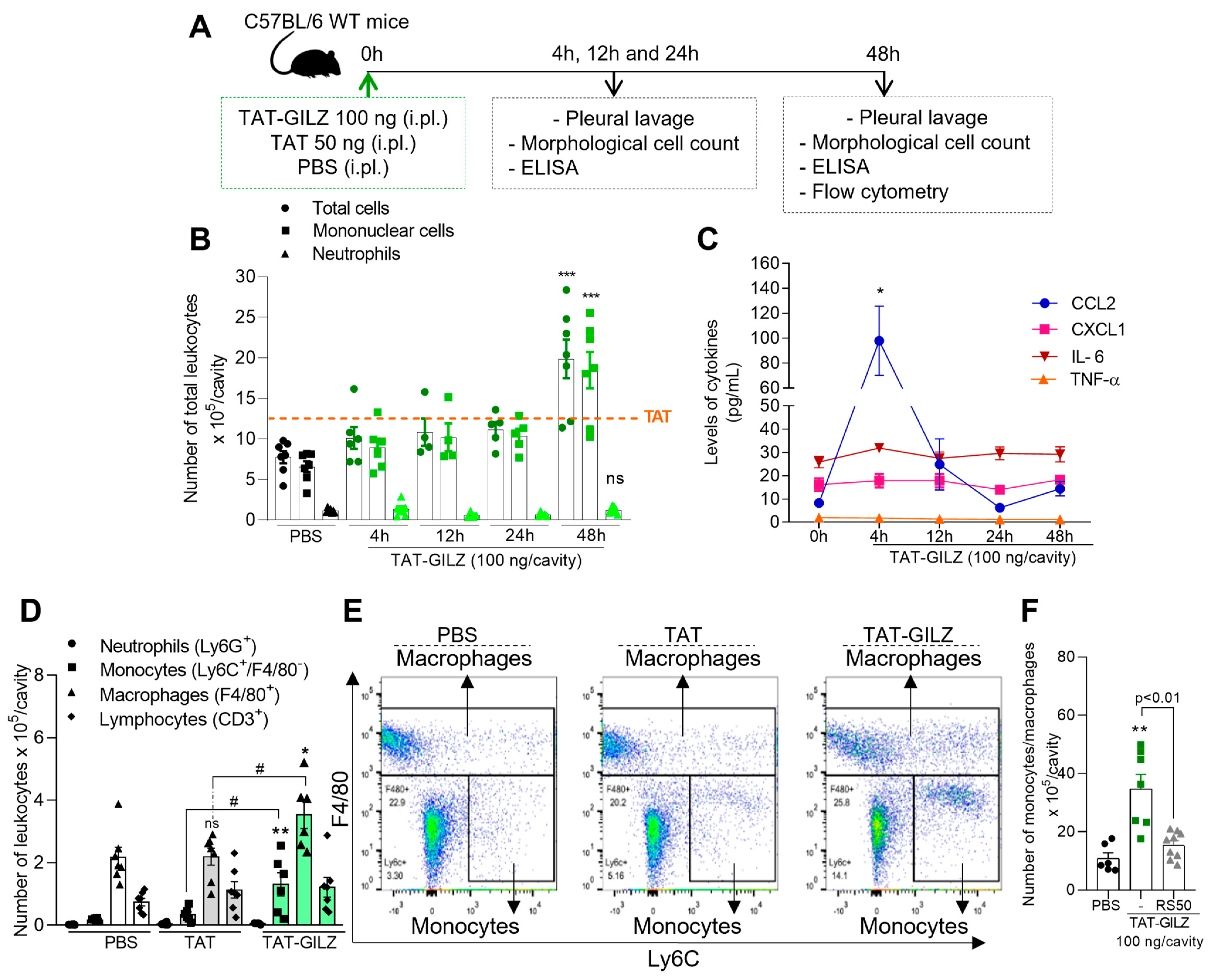 Cells 12 01403 g001 Cells 12 01403 g001