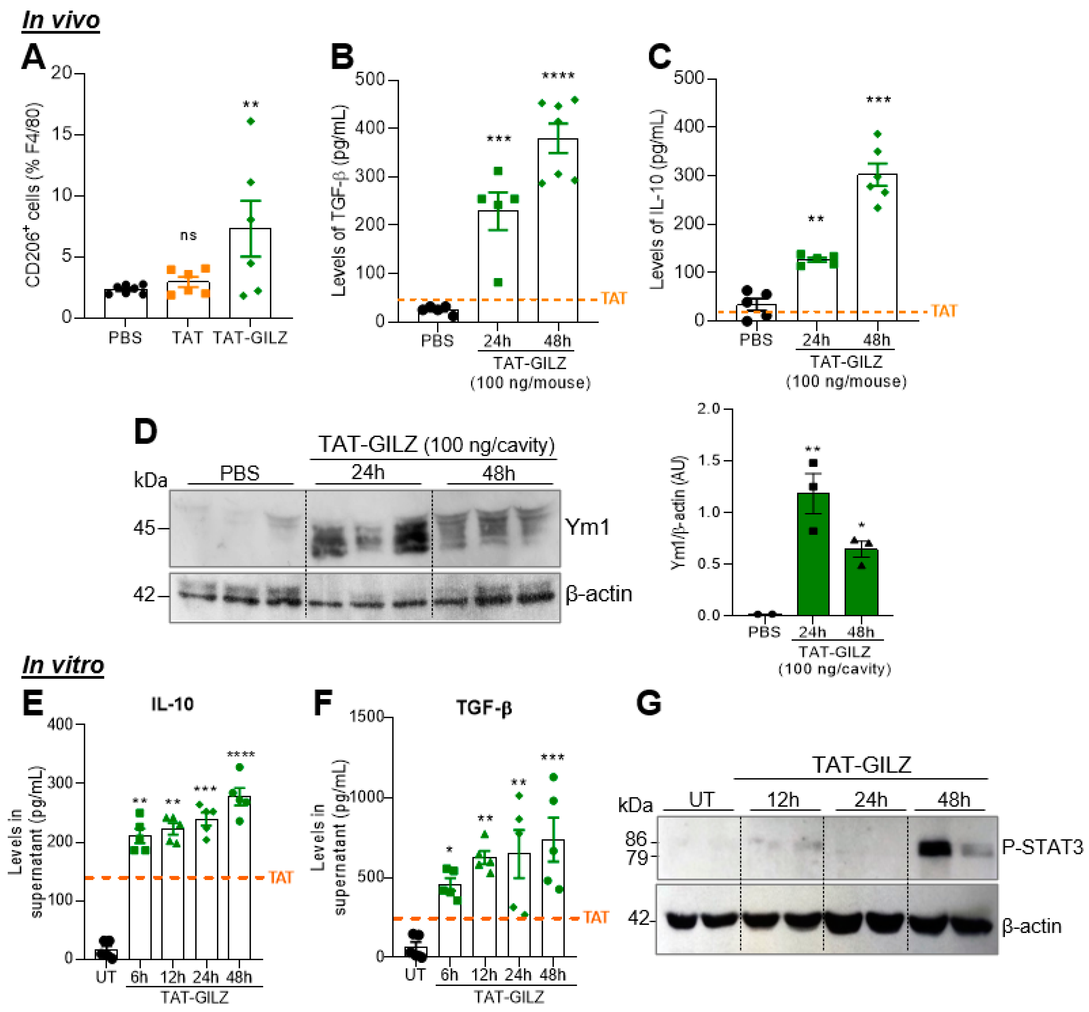Cells 12 01403 g002 Cells 12 01403 g002