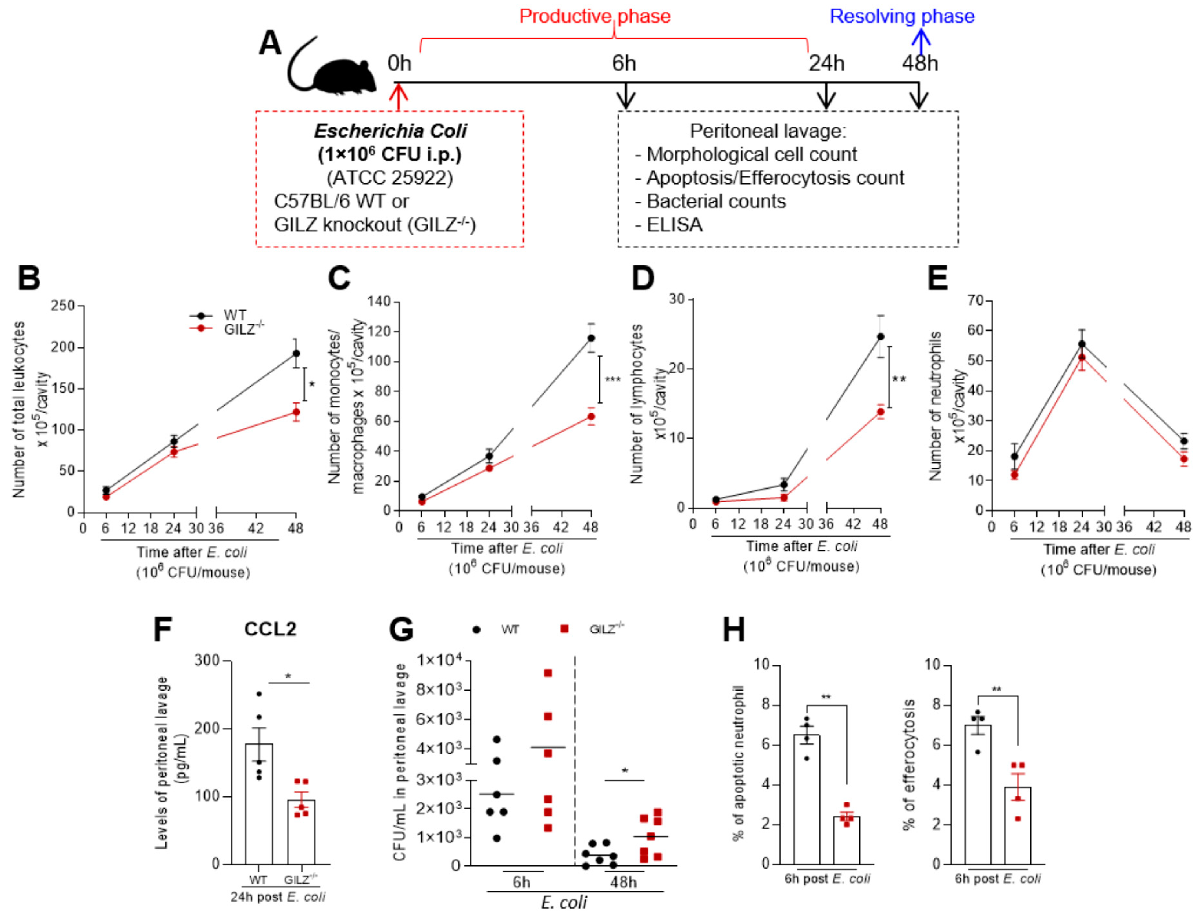 Cells 12 01403 g003 Cells 12 01403 g003