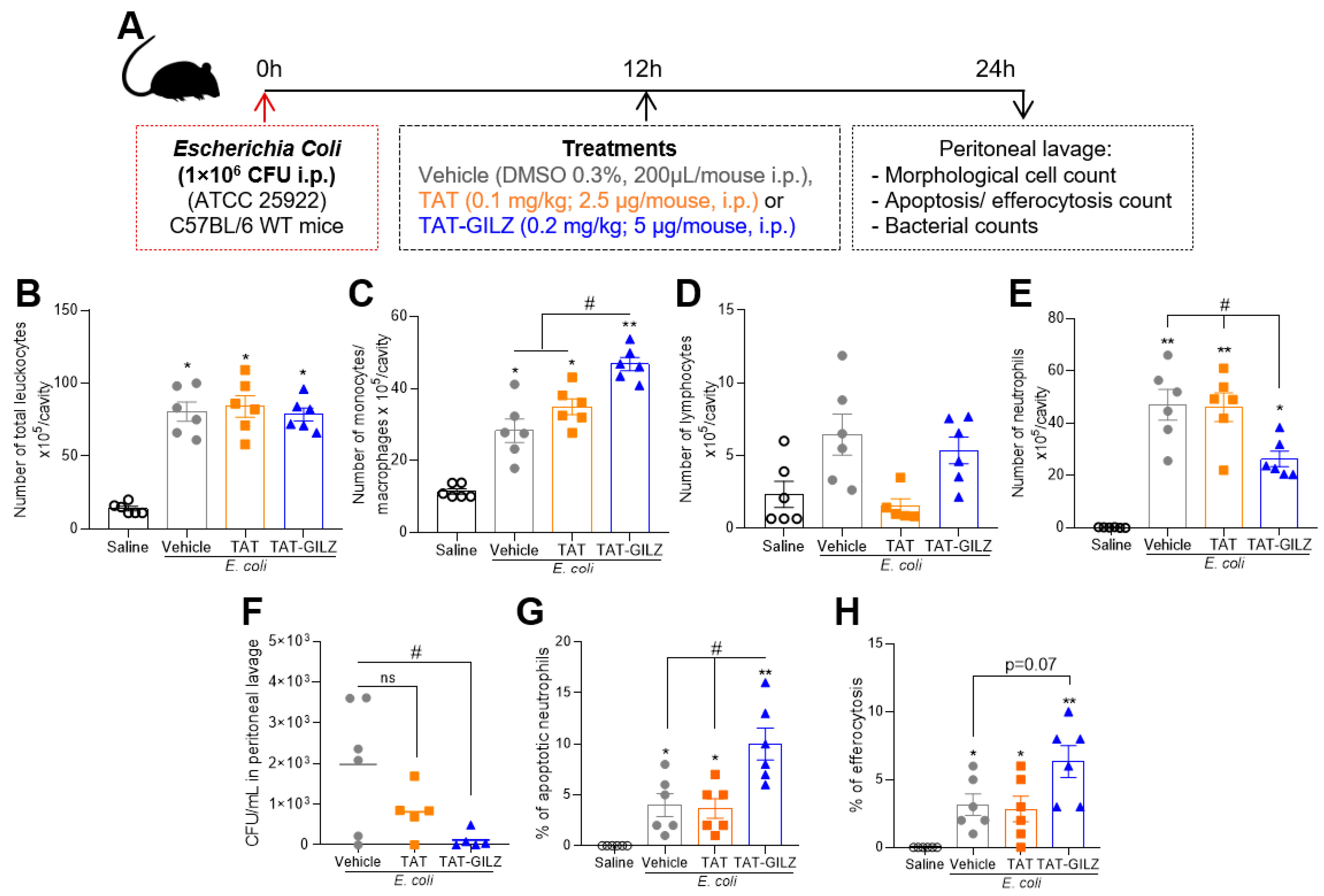 Cells 12 01403 g005 Cells 12 01403 g005