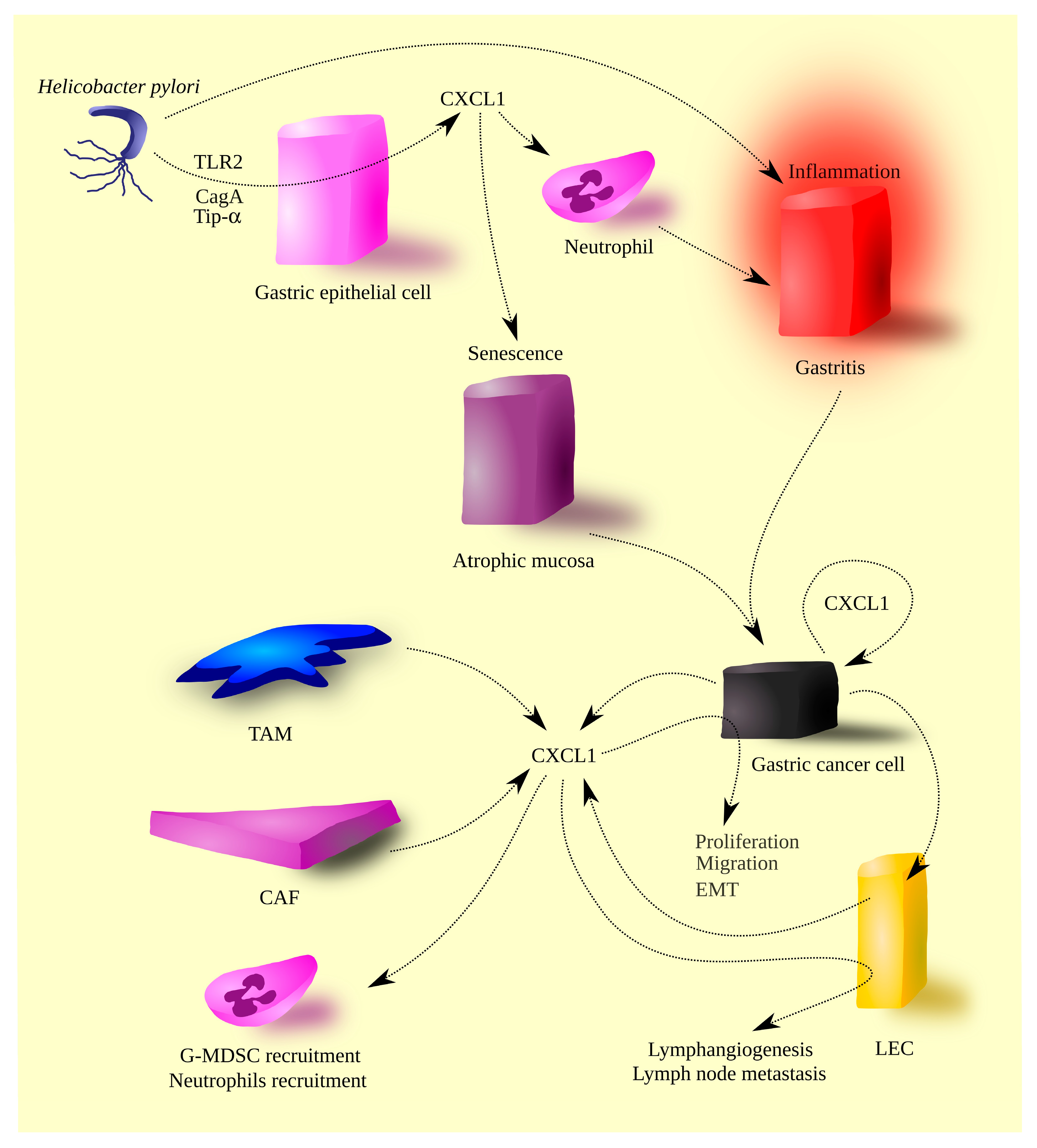 Cells Free Full Text The Clinical Significance and Role of
