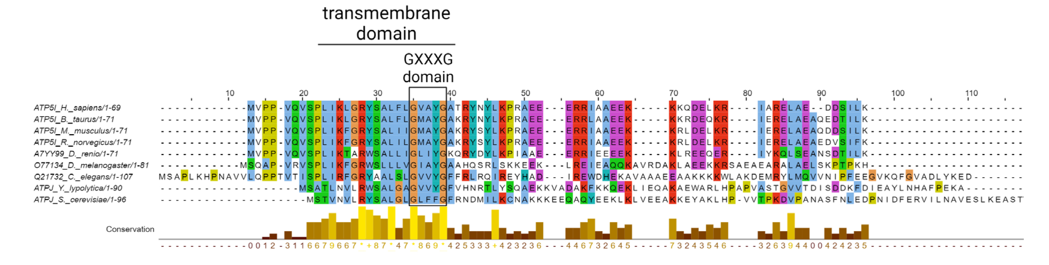 Cells 12 01409 g004 Cells 12 01409 g004
