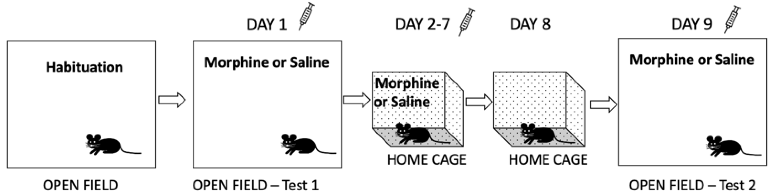 Cells 12 01412 g001 Cells 12 01412 g001