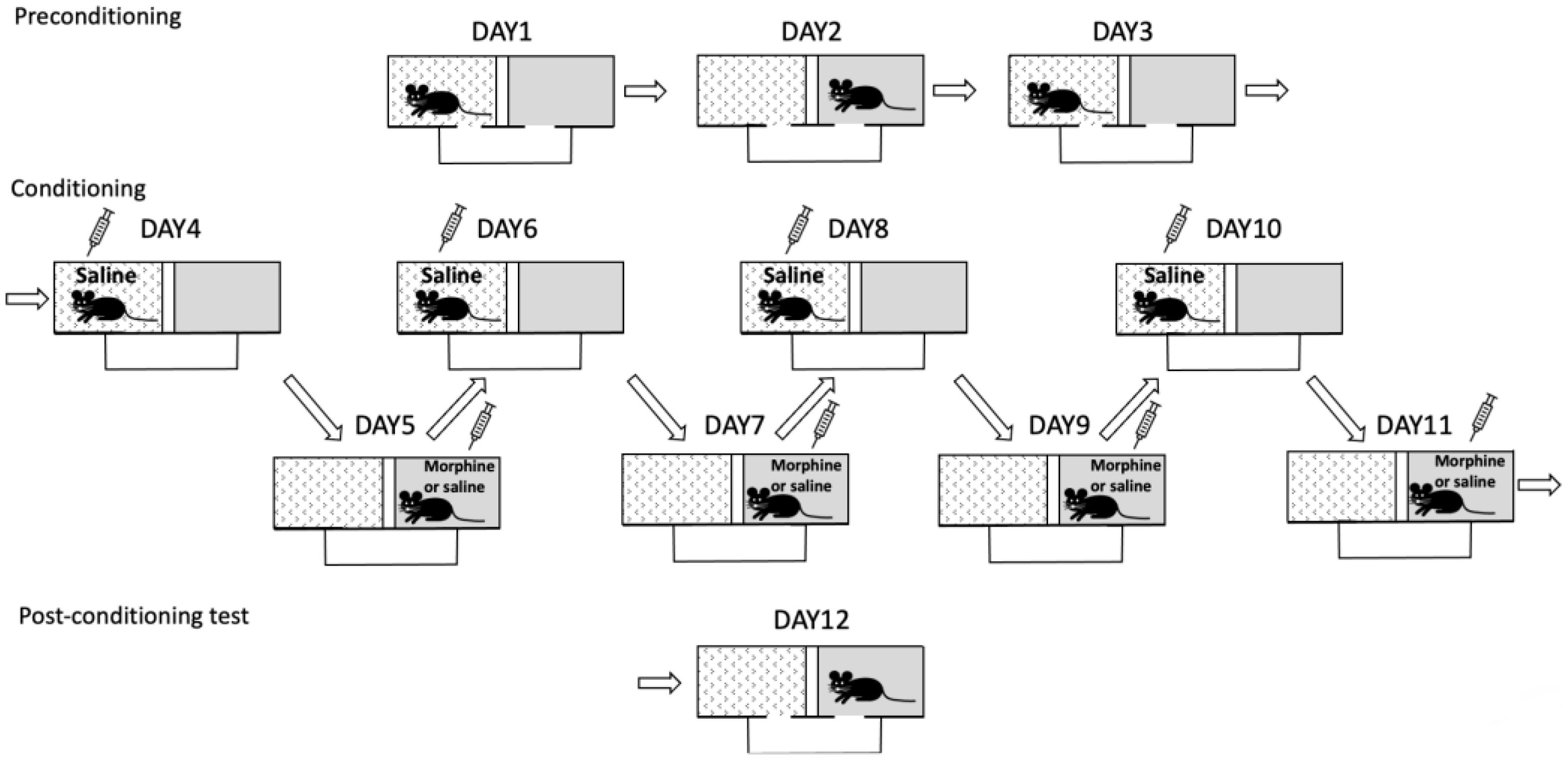 Cells 12 01412 g002 Cells 12 01412 g002