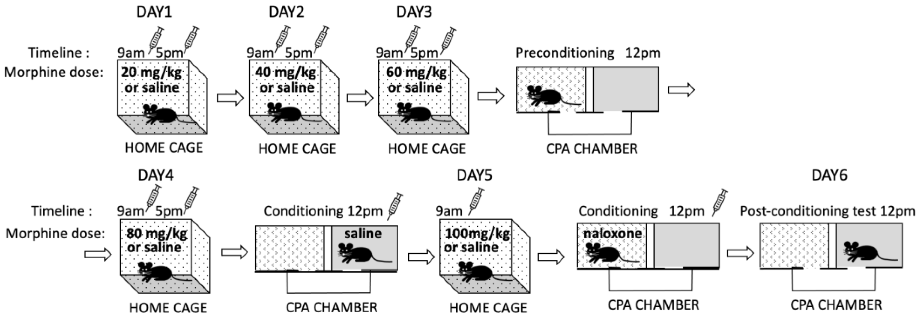 Cells 12 01412 g003 Cells 12 01412 g003