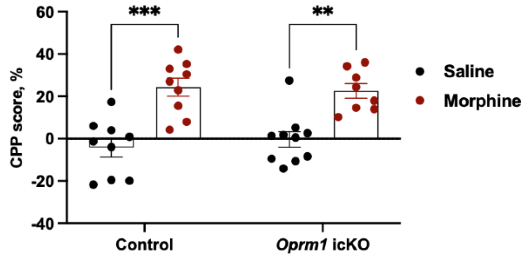 Cells 12 01412 g007 Cells 12 01412 g007