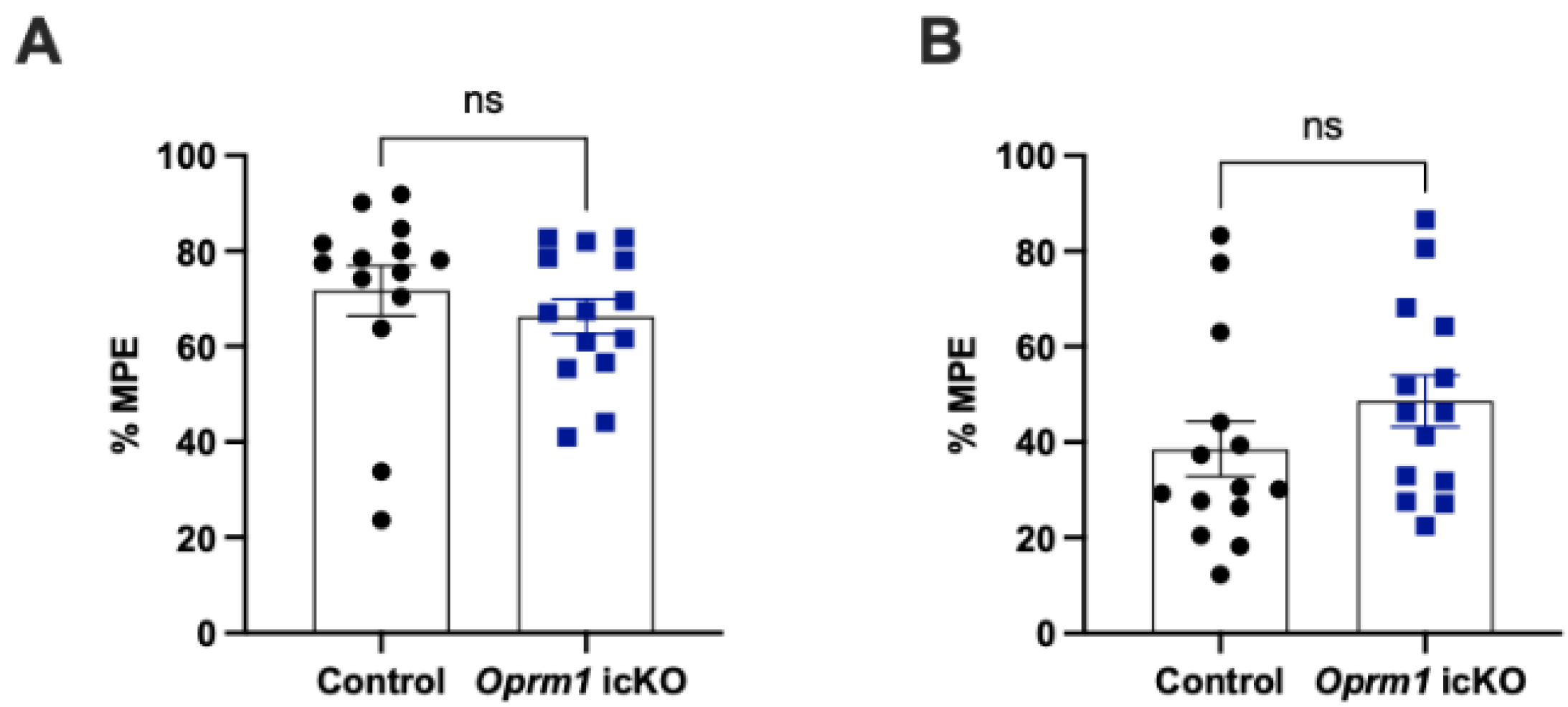 Cells 12 01412 g009 Cells 12 01412 g009