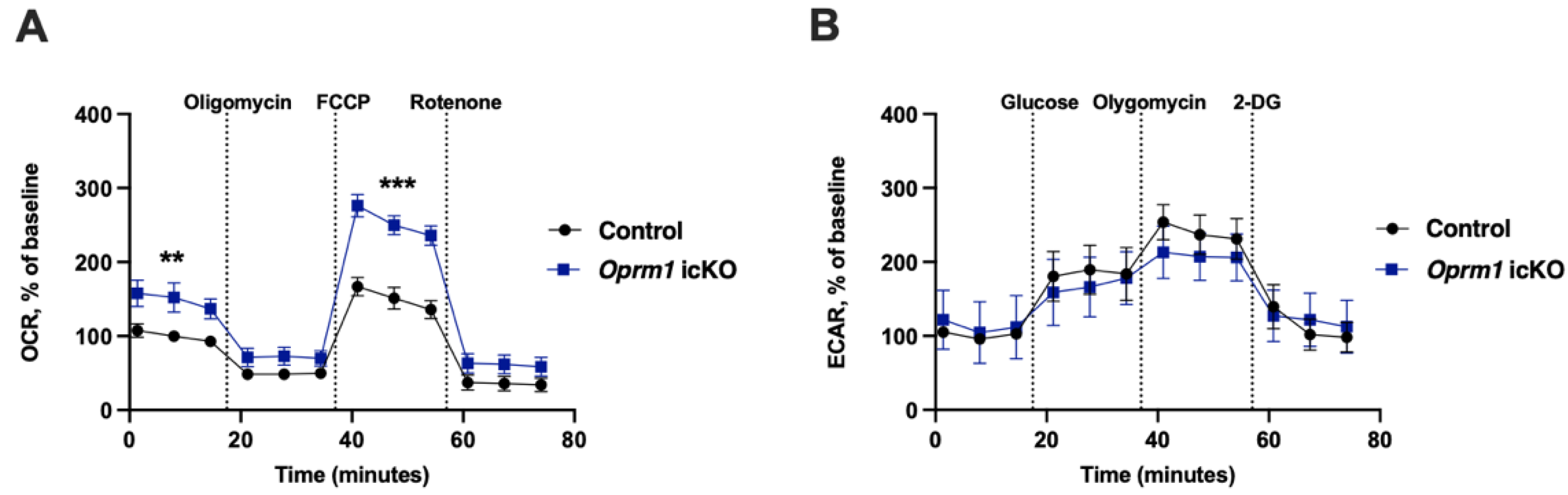 Cells 12 01412 g010 Cells 12 01412 g010