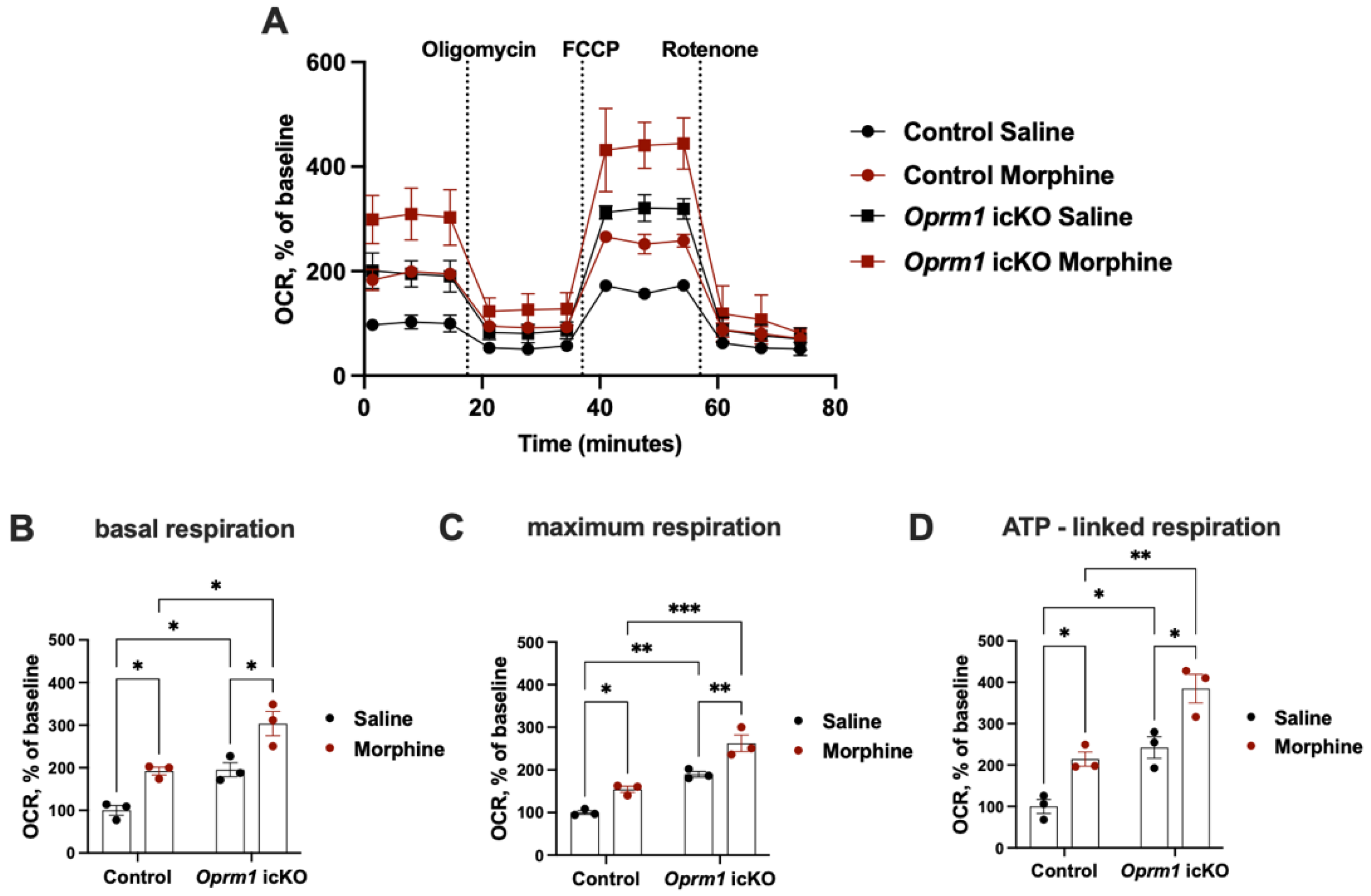 Cells 12 01412 g011 Cells 12 01412 g011