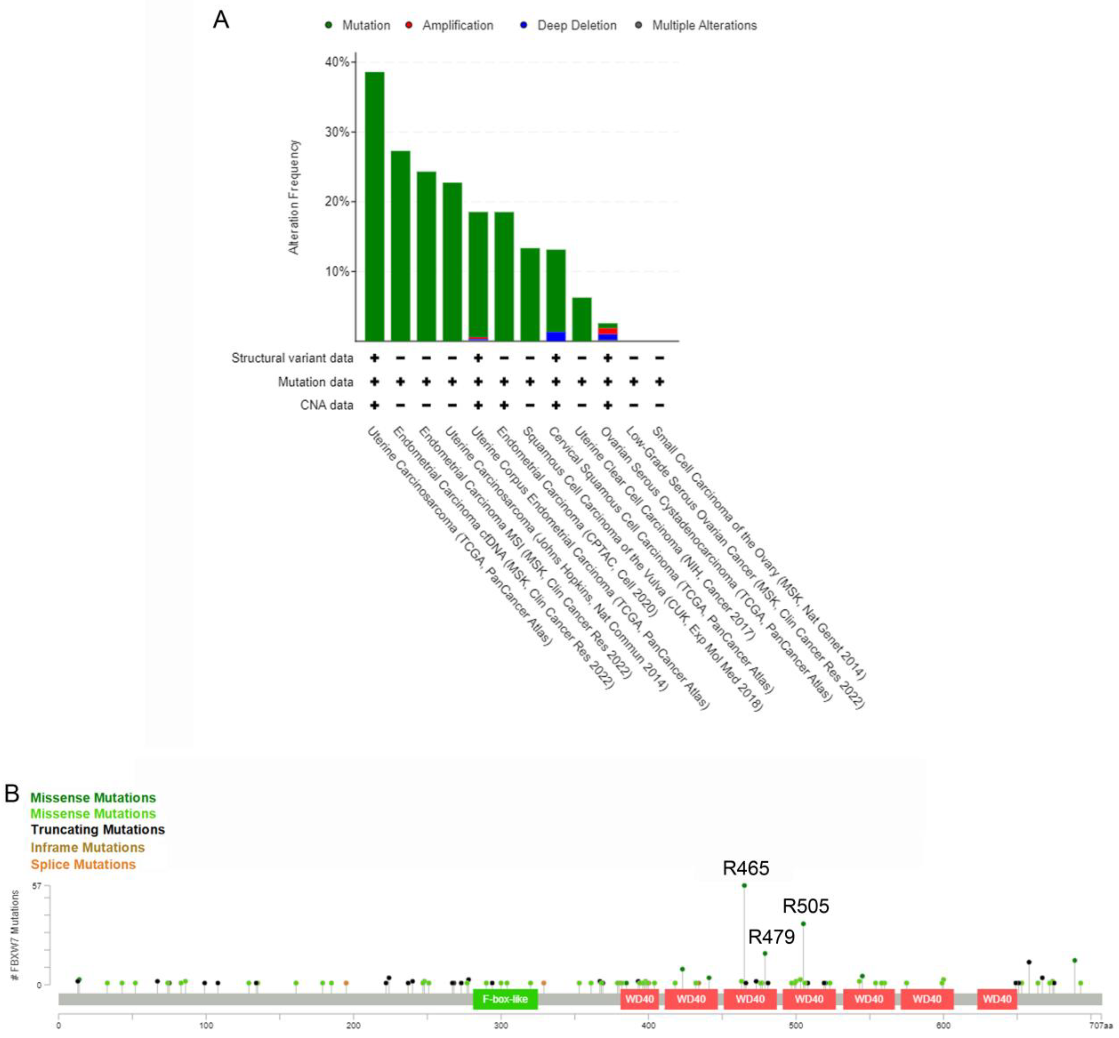 Cells 12 01415 g003 Cells 12 01415 g003