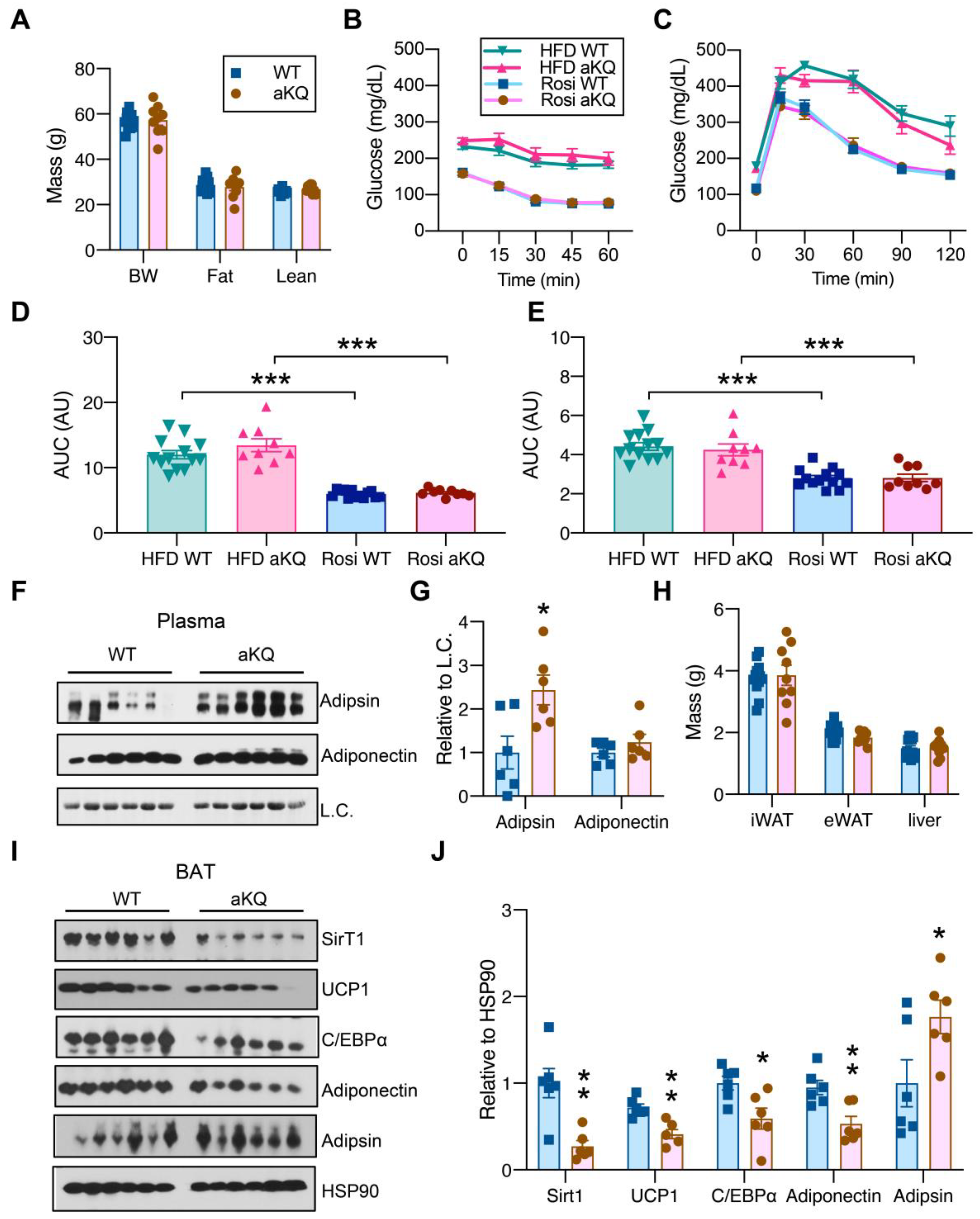 Cells 12 01424 g004