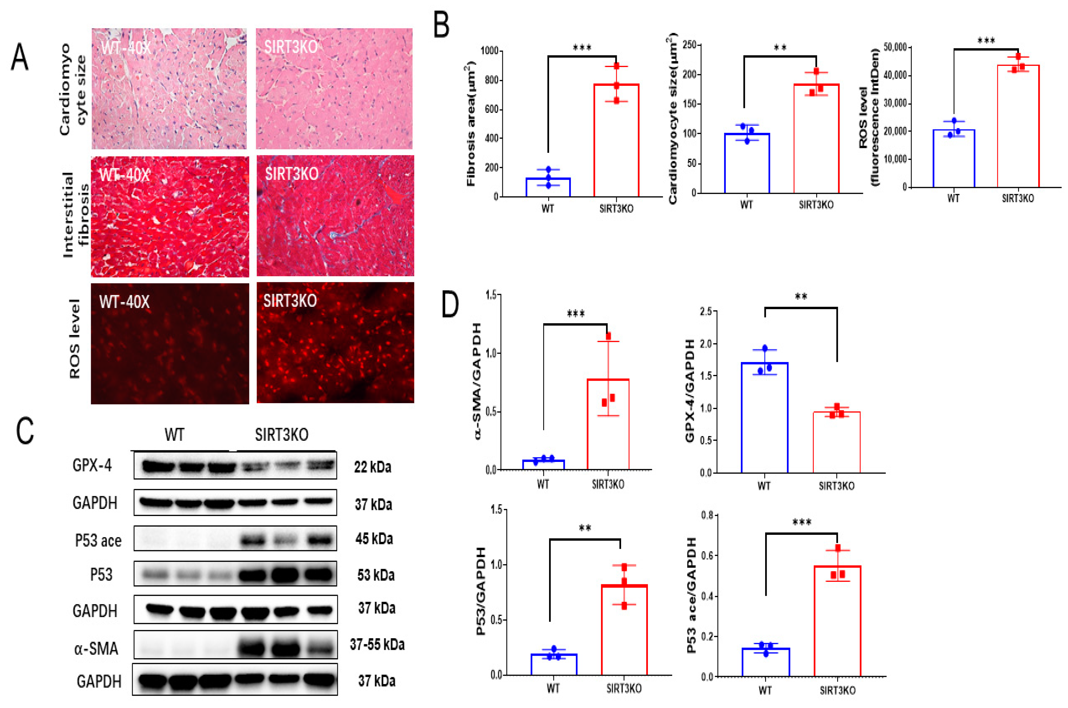 Cells 12 01428 g001 Cells 12 01428 g001
