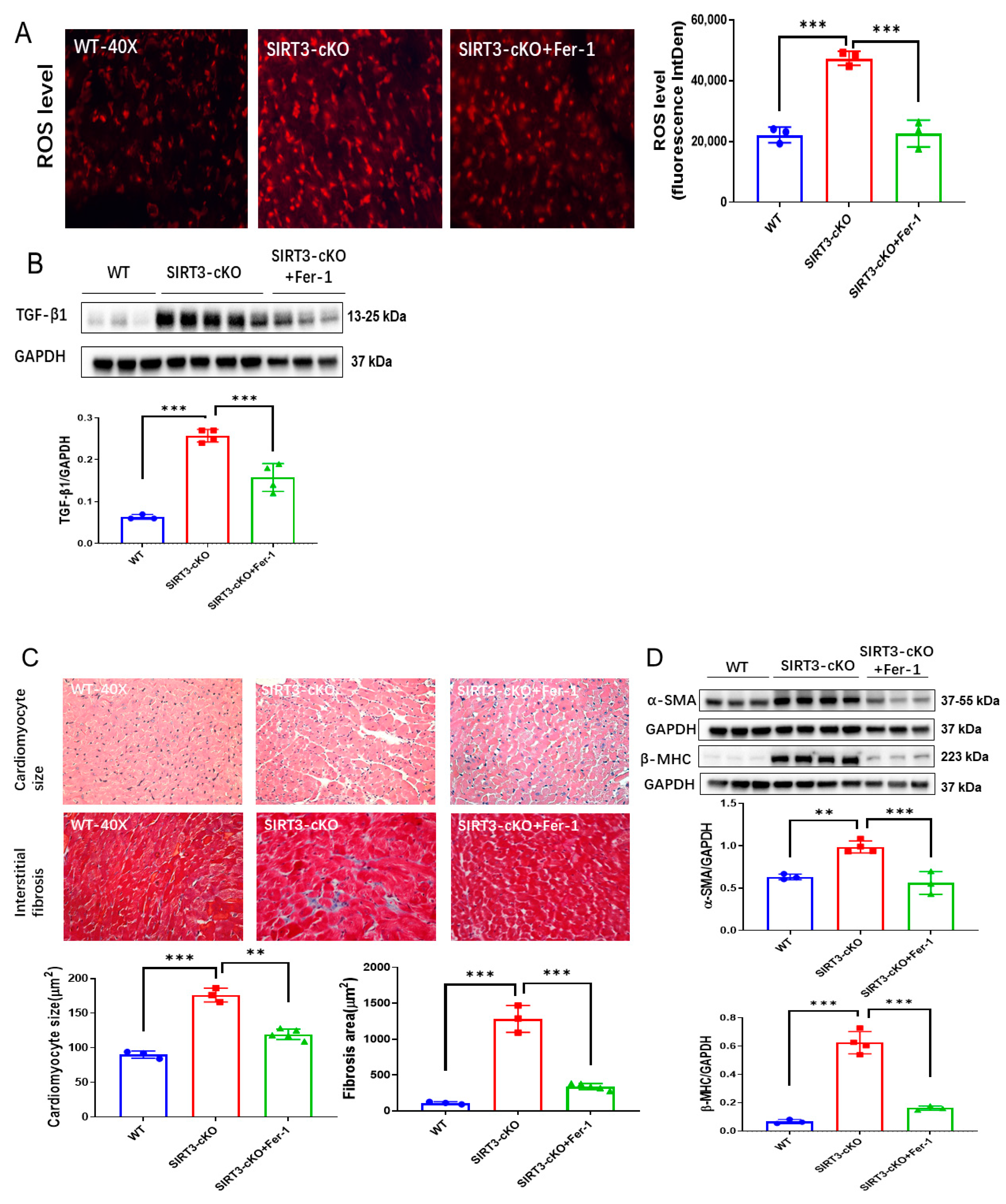 Cells 12 01428 g004 Cells 12 01428 g004