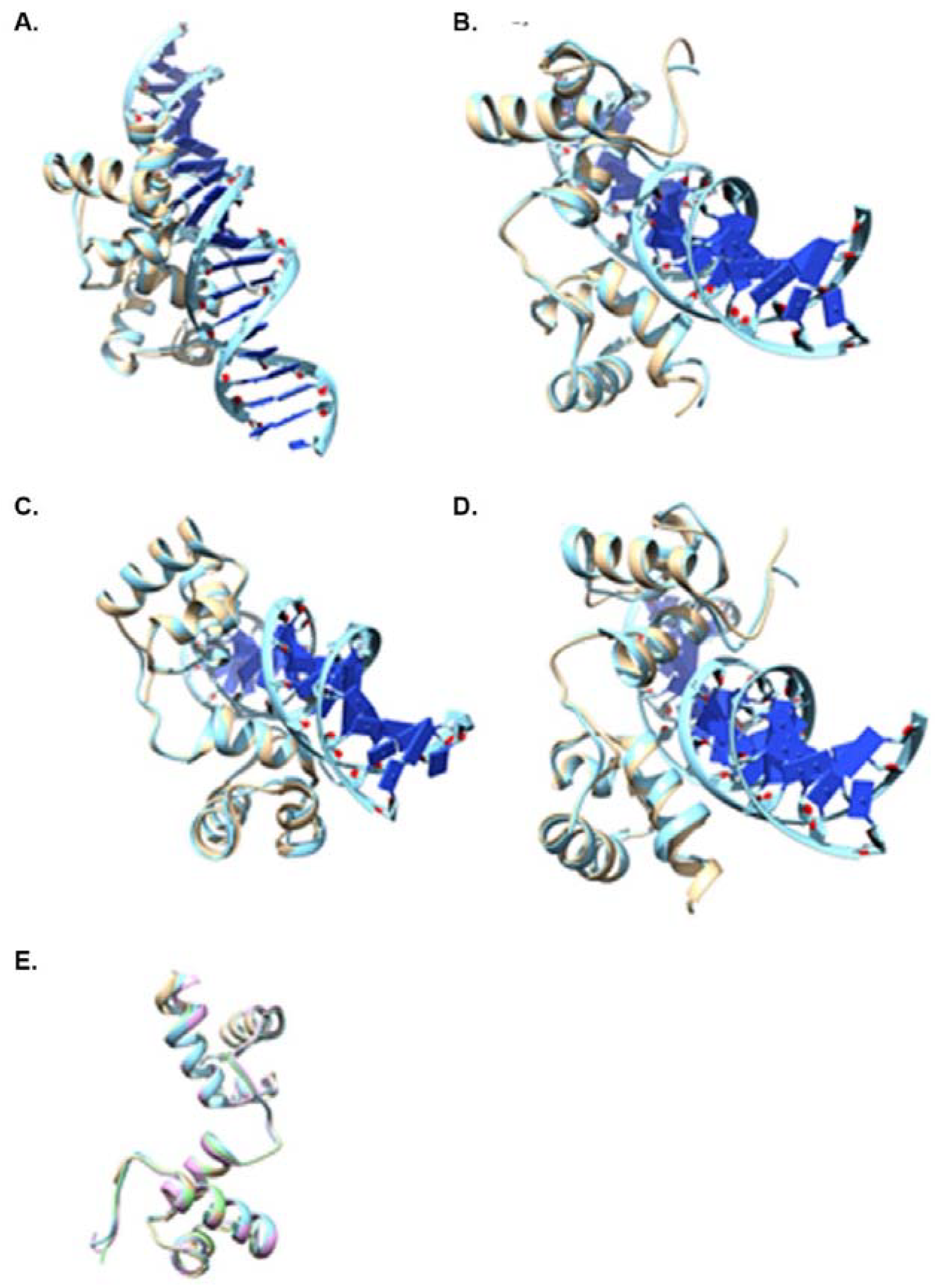 Cells 12 01431 g003 Cells 12 01431 g003