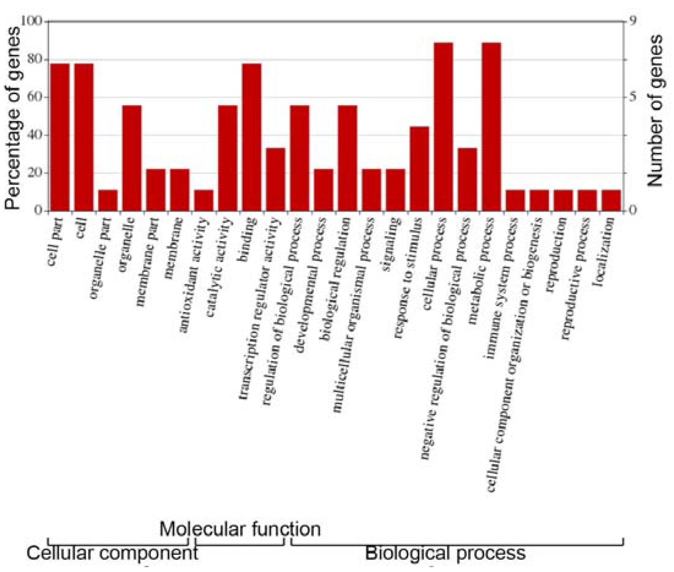 Cells 12 01431 g007 Cells 12 01431 g007
