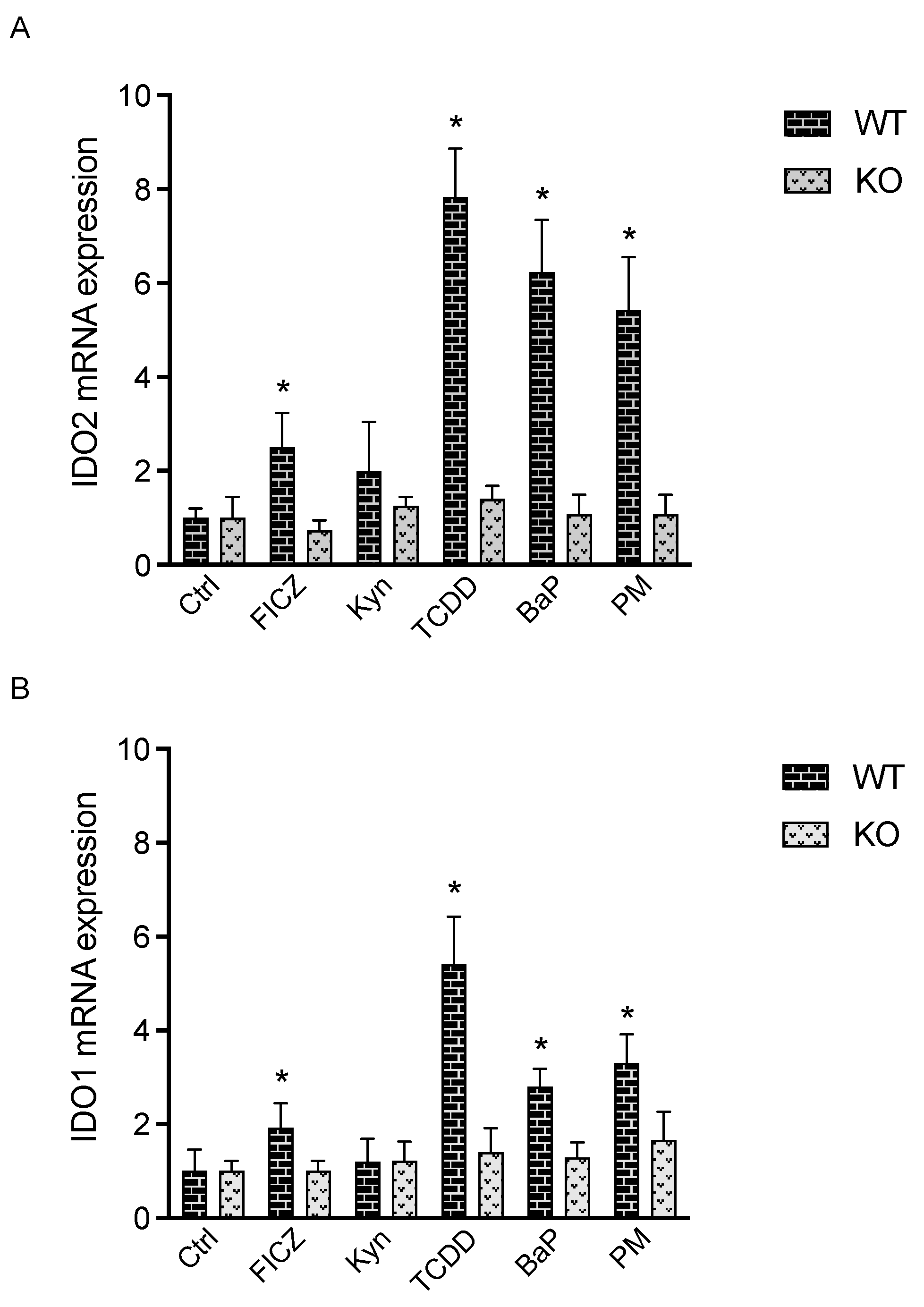 Cells 12 01433 g002 Cells 12 01433 g002