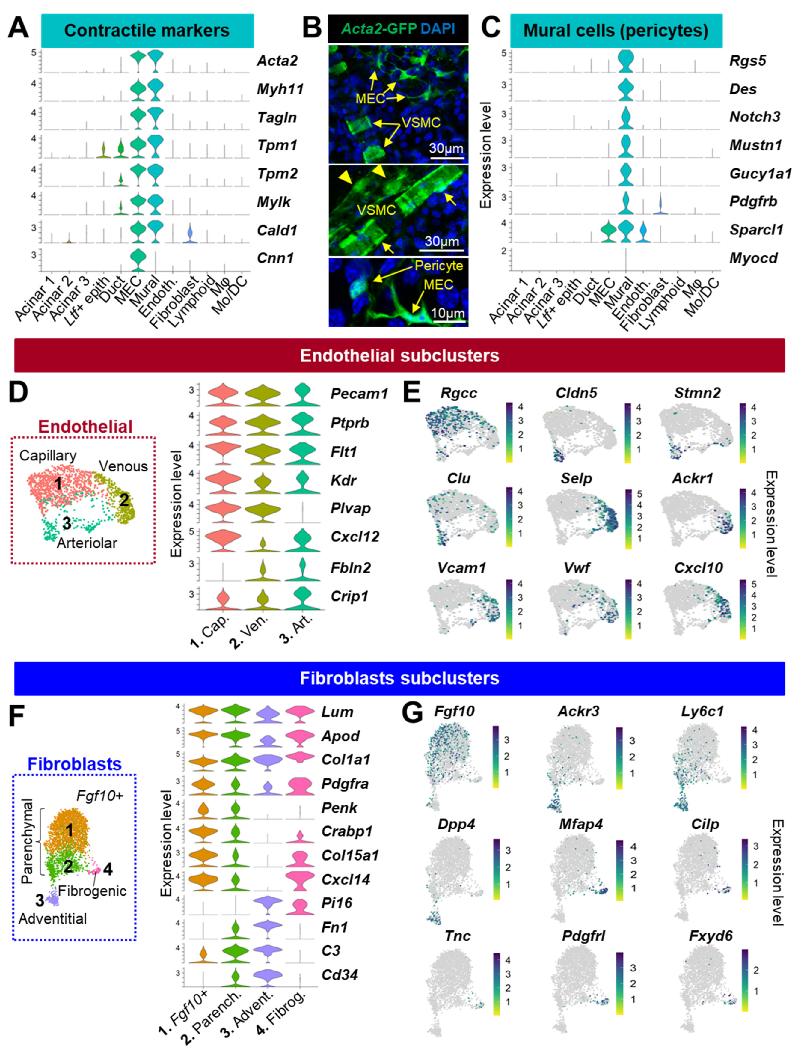 Cells 12 01435 g002