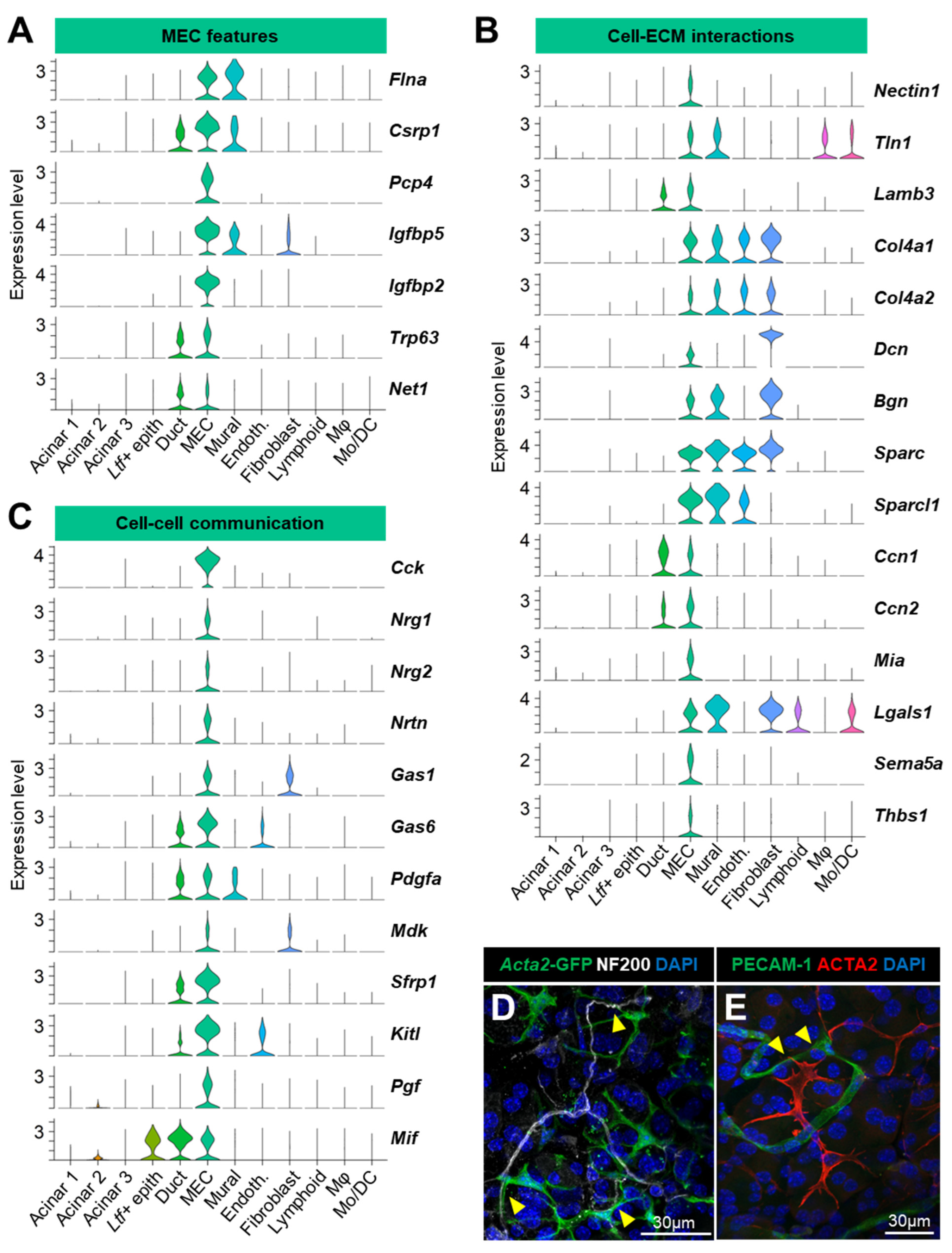 Cells 12 01435 g006