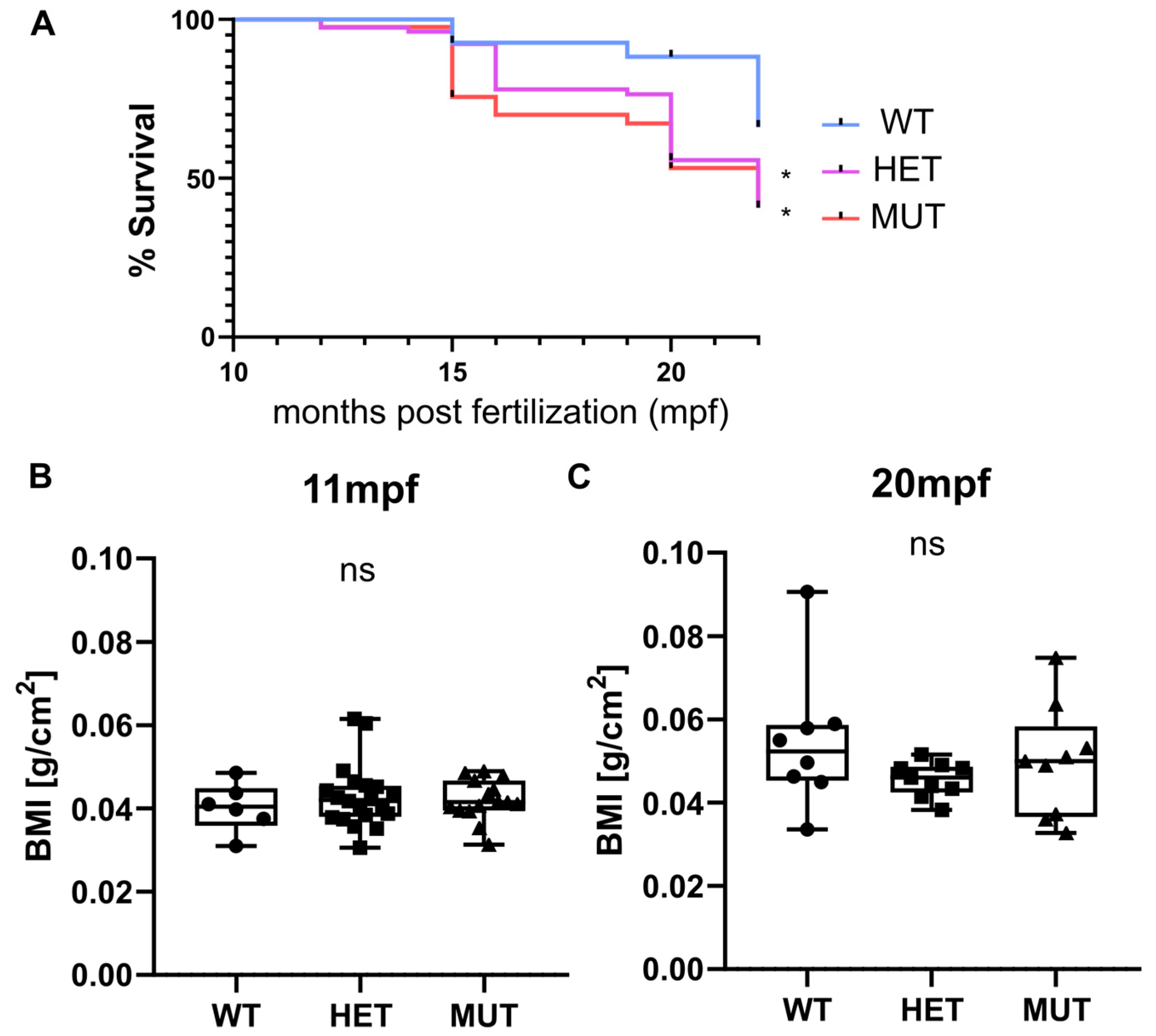 Cells 12 01436 g002 Cells 12 01436 g002