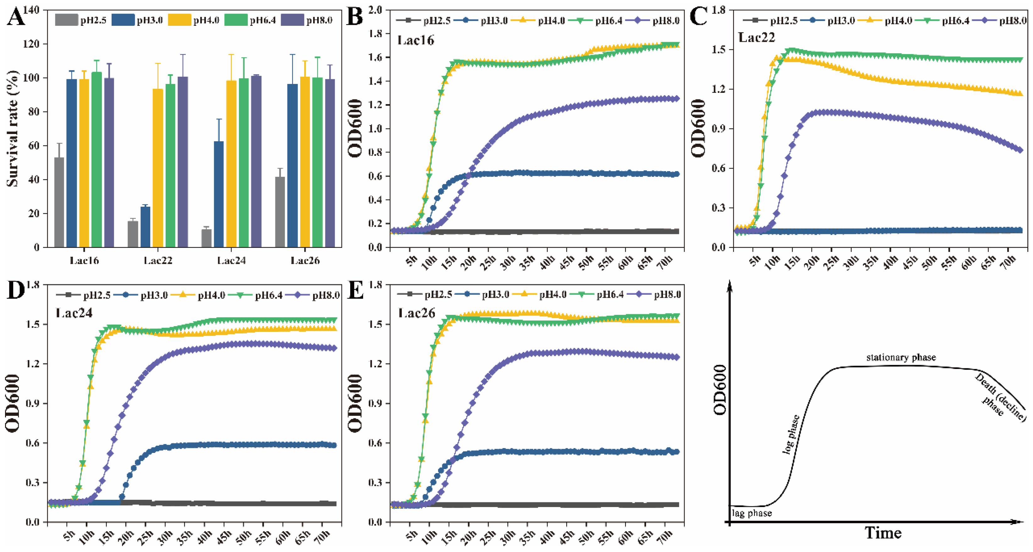 Cells 12 01438 g002 Cells 12 01438 g002