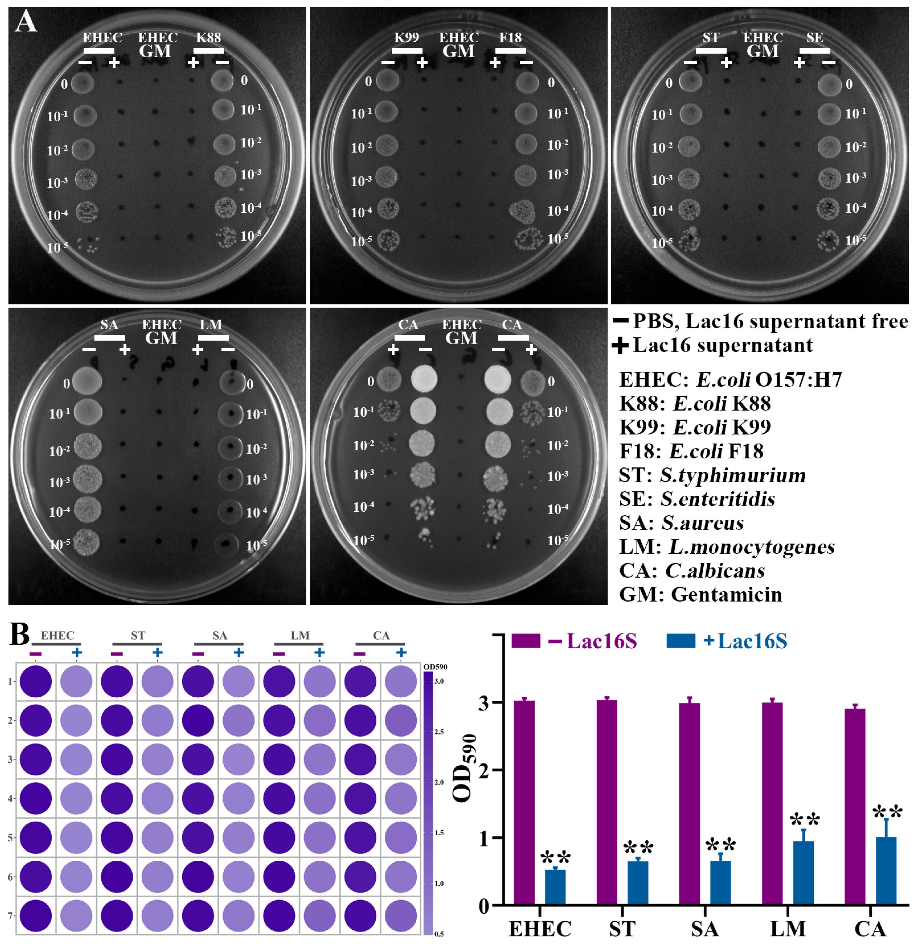 Cells 12 01438 g005 Cells 12 01438 g005