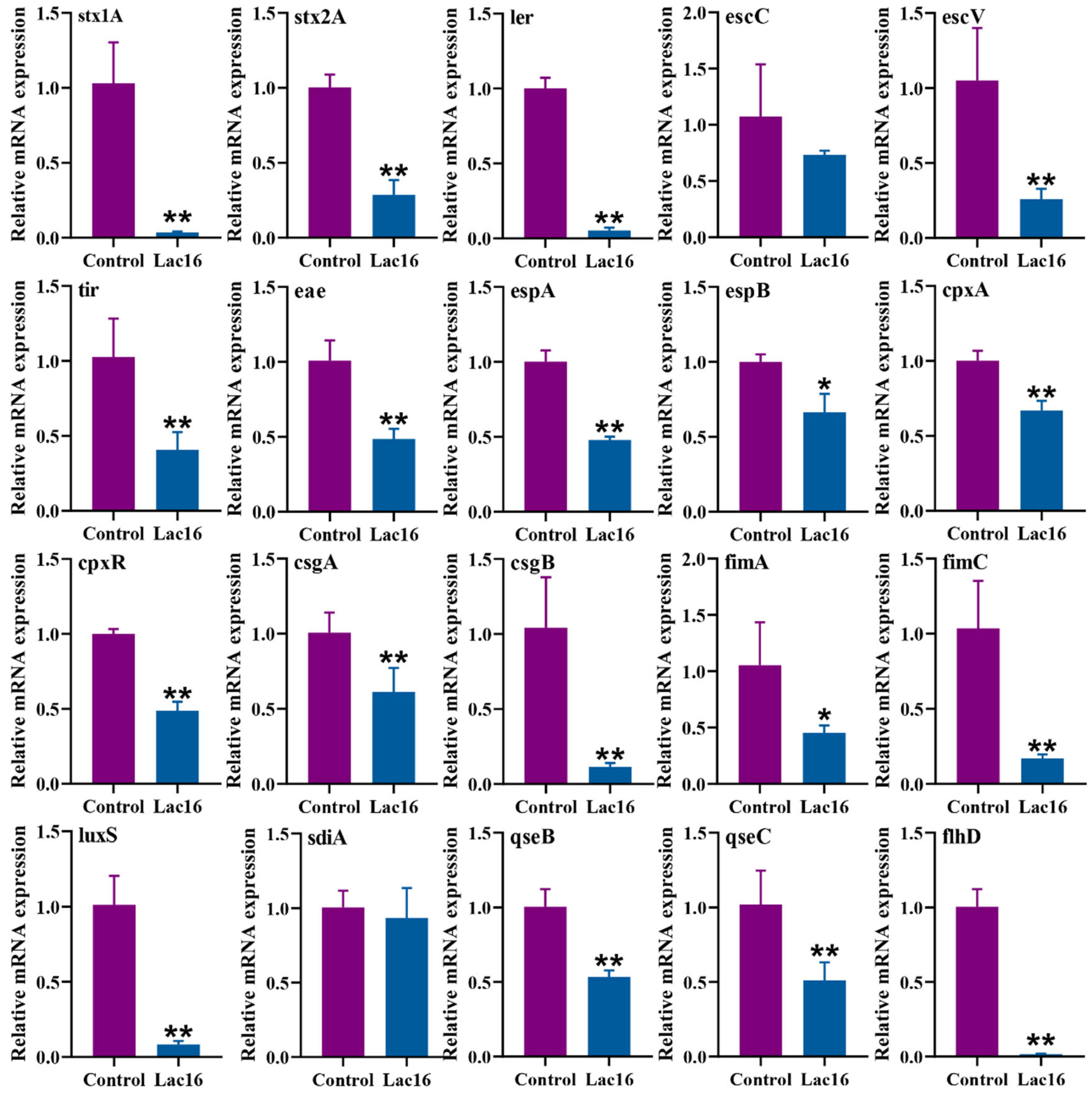 Cells 12 01438 g006 Cells 12 01438 g006