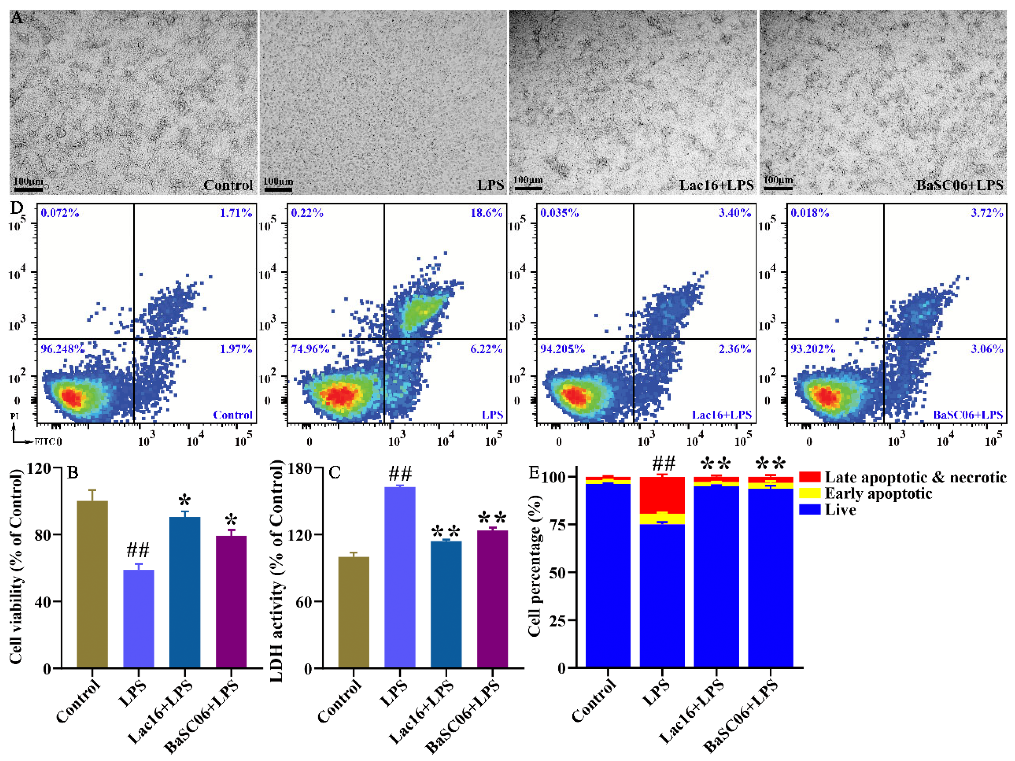 Cells 12 01438 g009 Cells 12 01438 g009