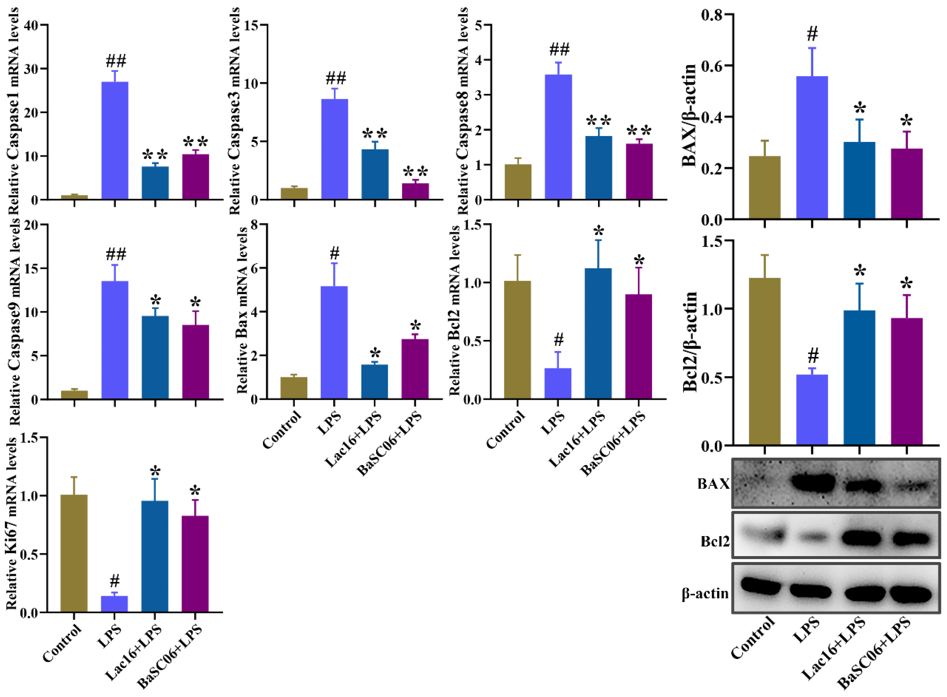 Cells 12 01438 g010 Cells 12 01438 g010