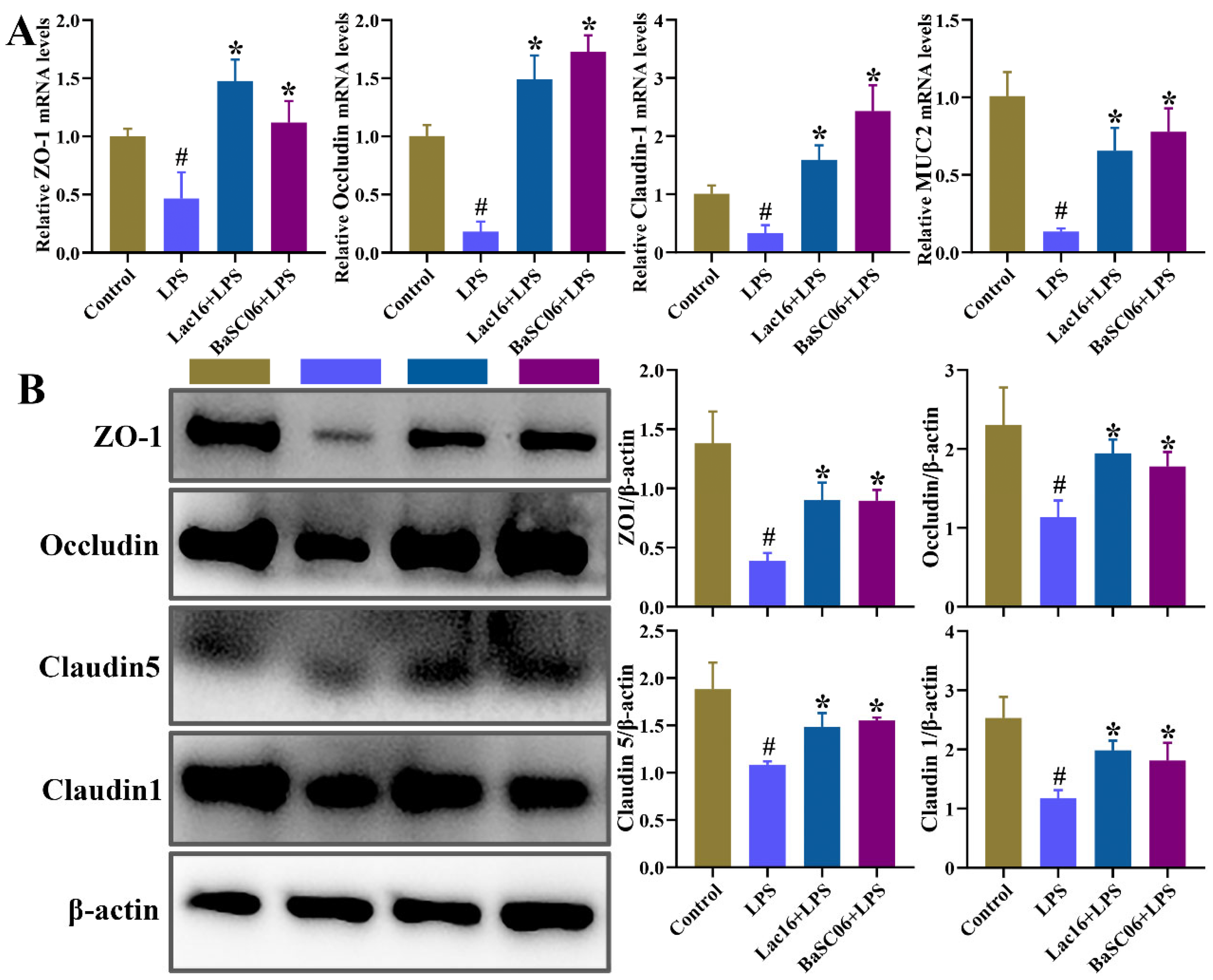 Cells 12 01438 g011 Cells 12 01438 g011