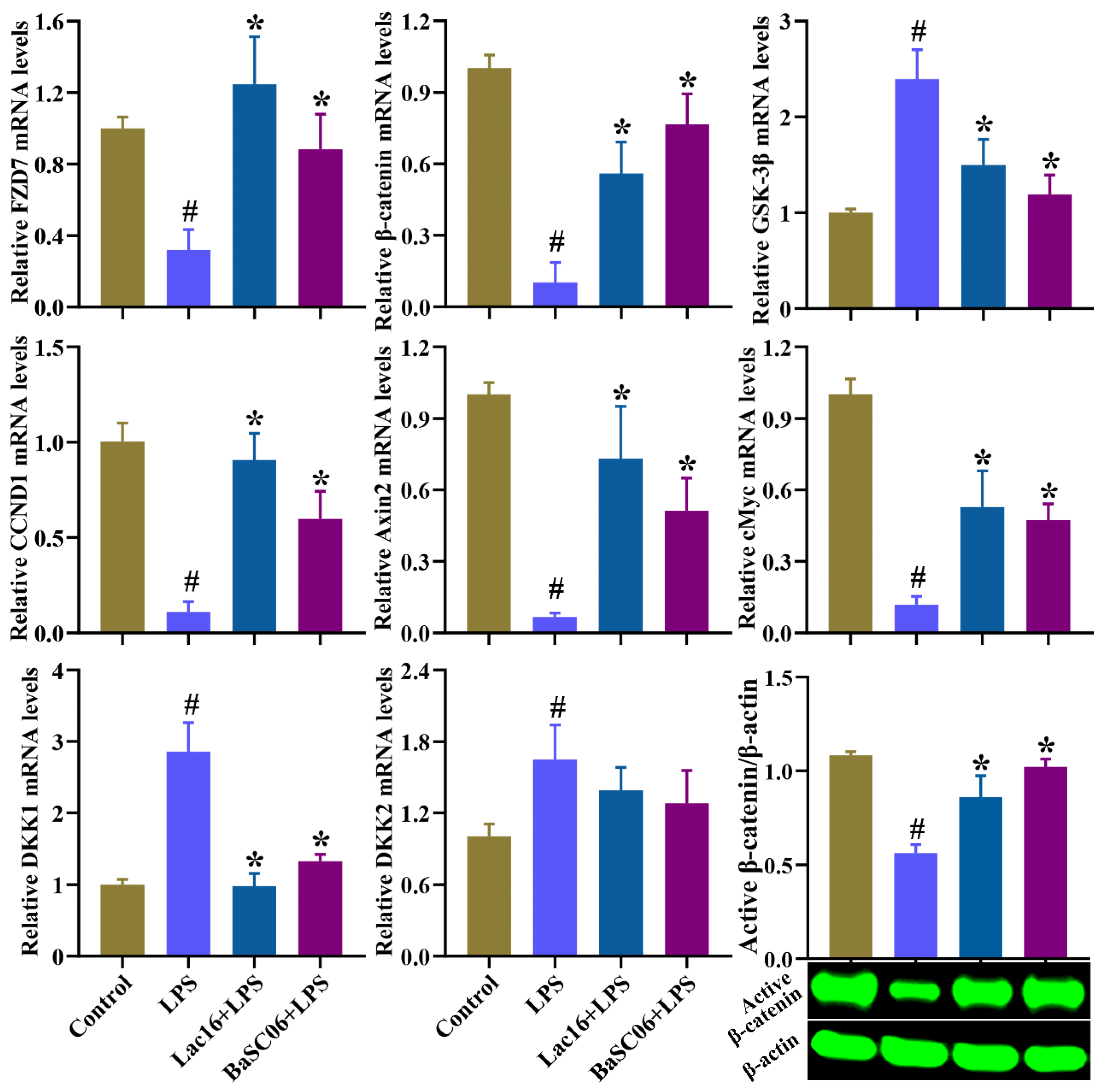 Cells 12 01438 g012 Cells 12 01438 g012