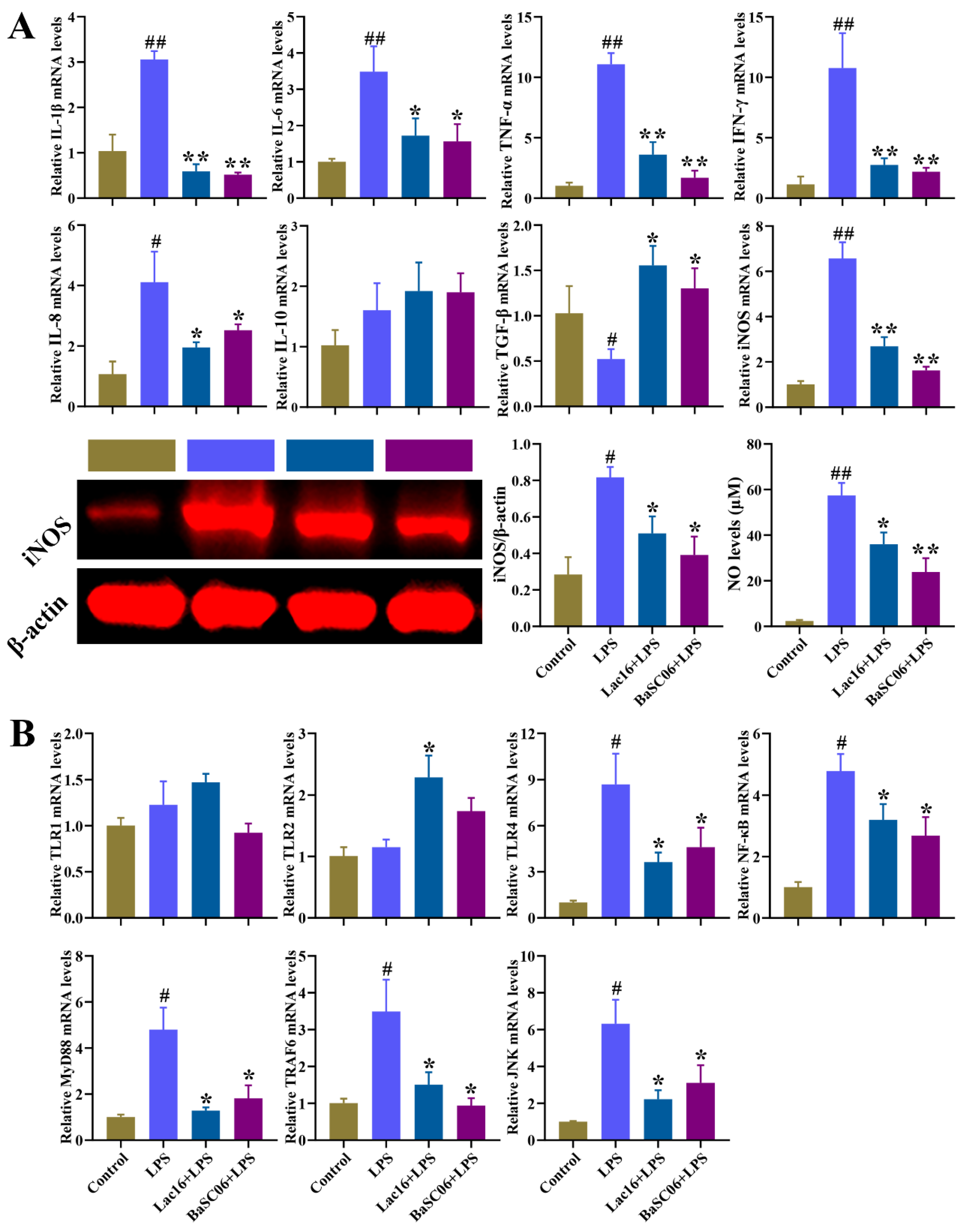 Cells 12 01438 g013 Cells 12 01438 g013