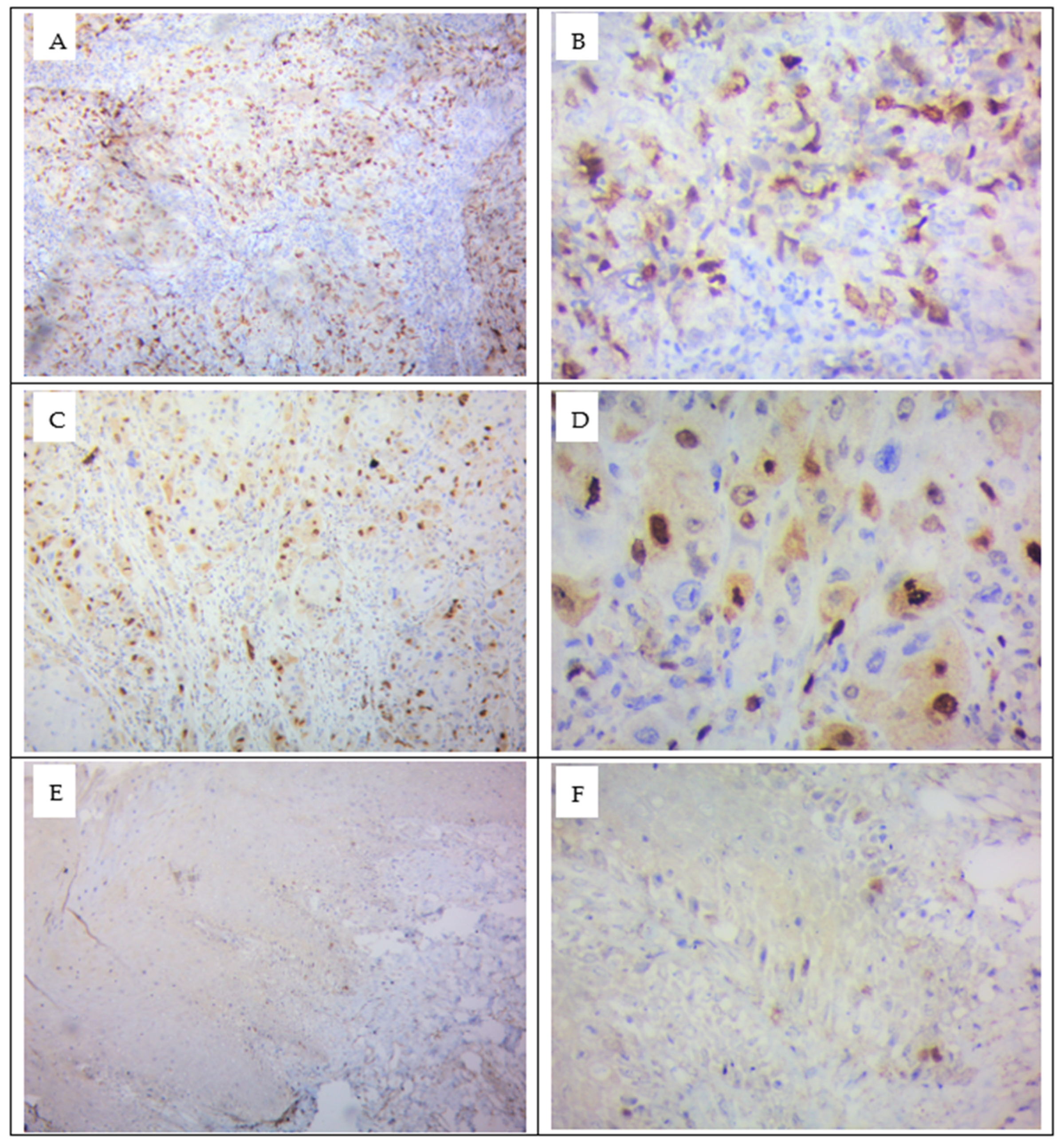 Cells 12 01444 g004 Cells 12 01444 g004