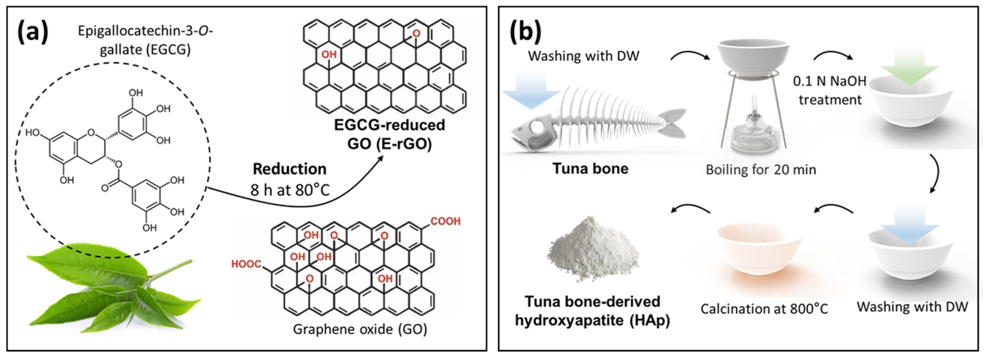Cells 12 01448 g001 Cells 12 01448 g001