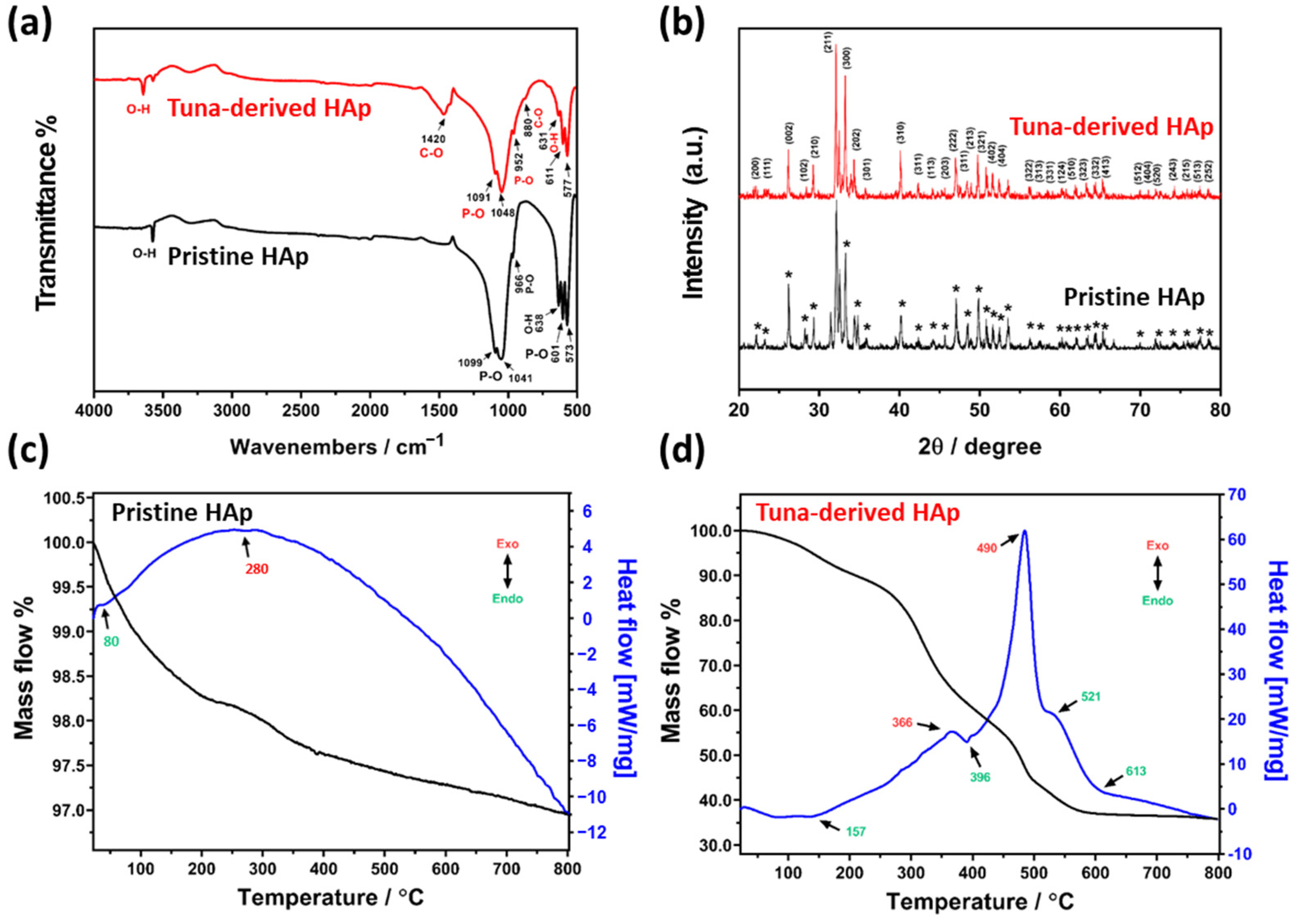 Cells 12 01448 g002 Cells 12 01448 g002