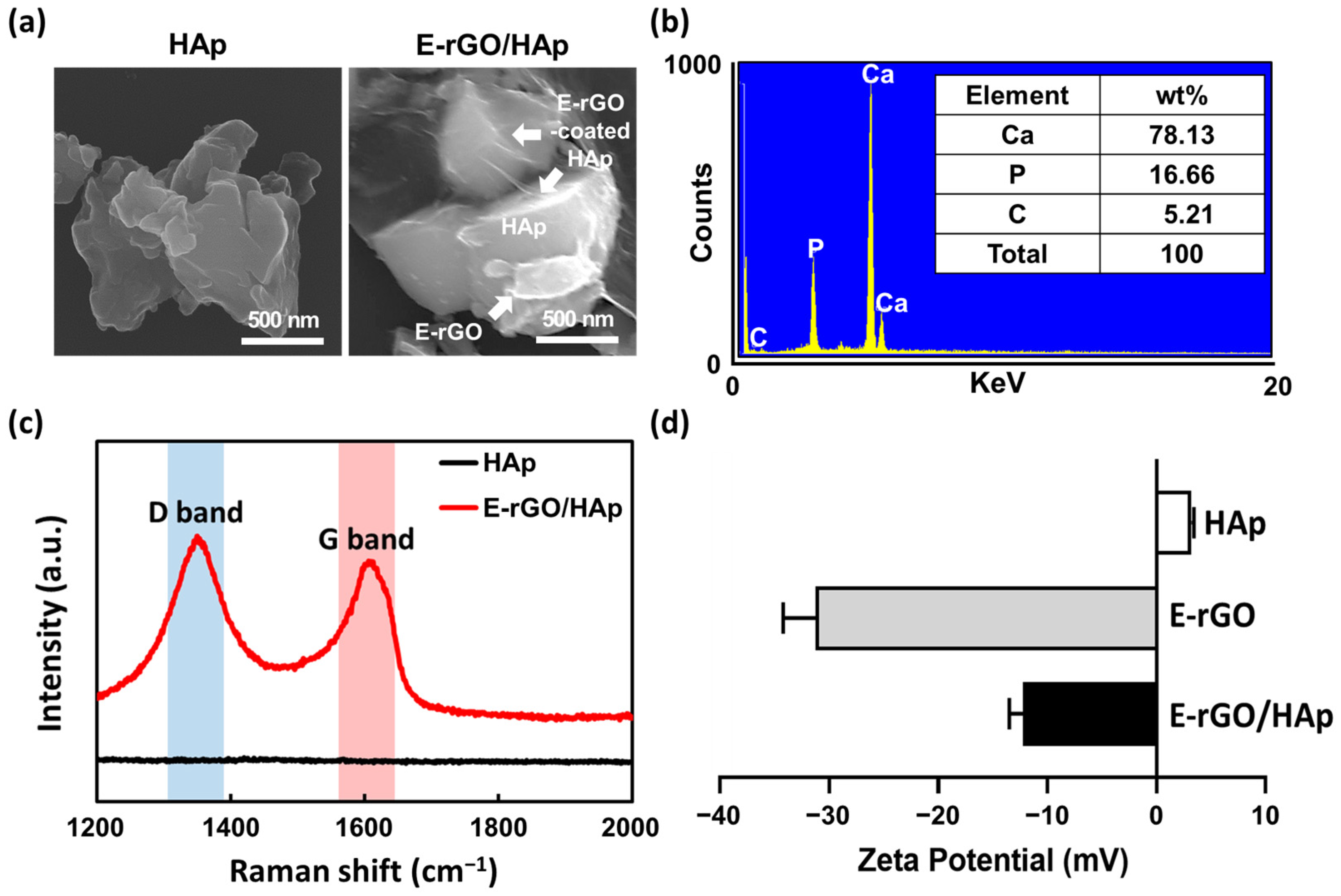 Cells 12 01448 g003 Cells 12 01448 g003