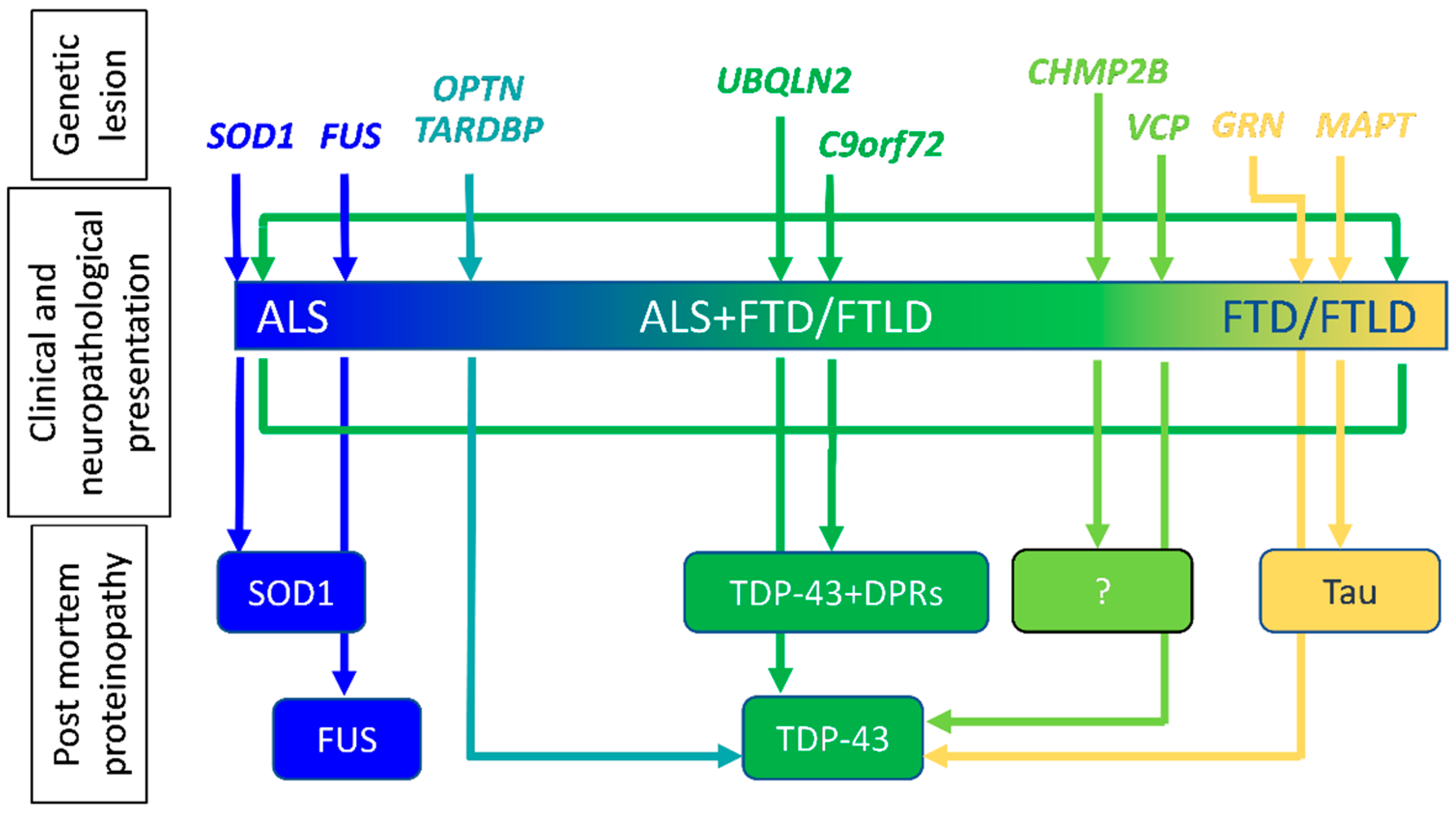 Cells 12 01450 g001 Cells 12 01450 g001