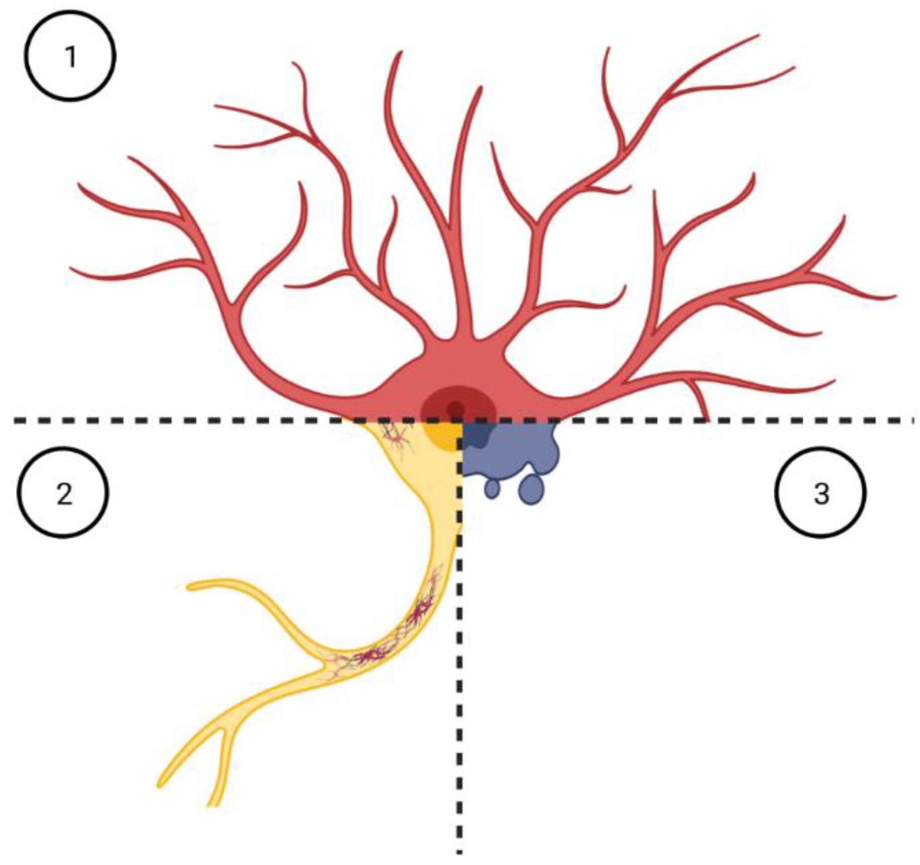 Cells 12 01450 g002 Cells 12 01450 g002