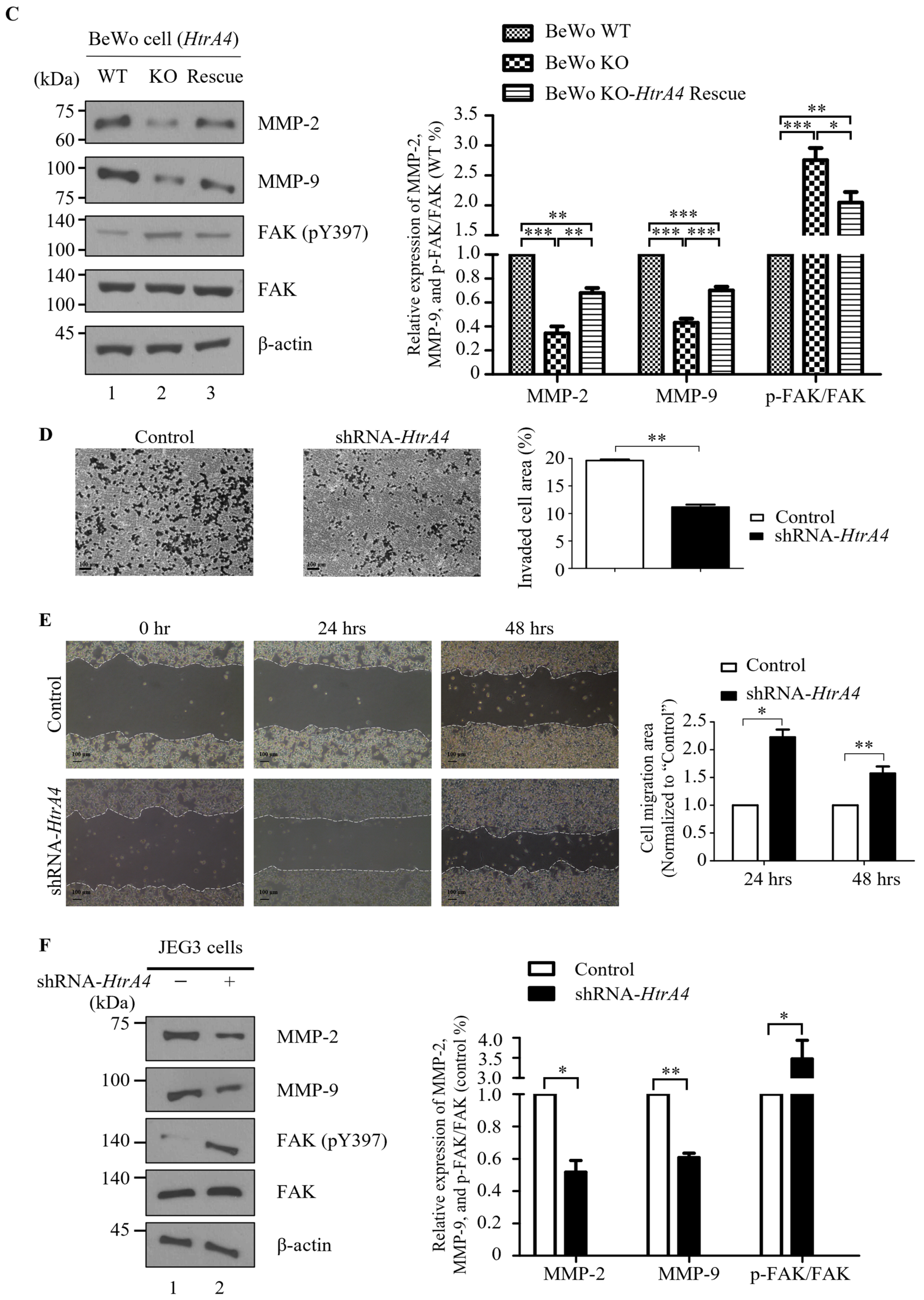 Cells 12 01459 g003b