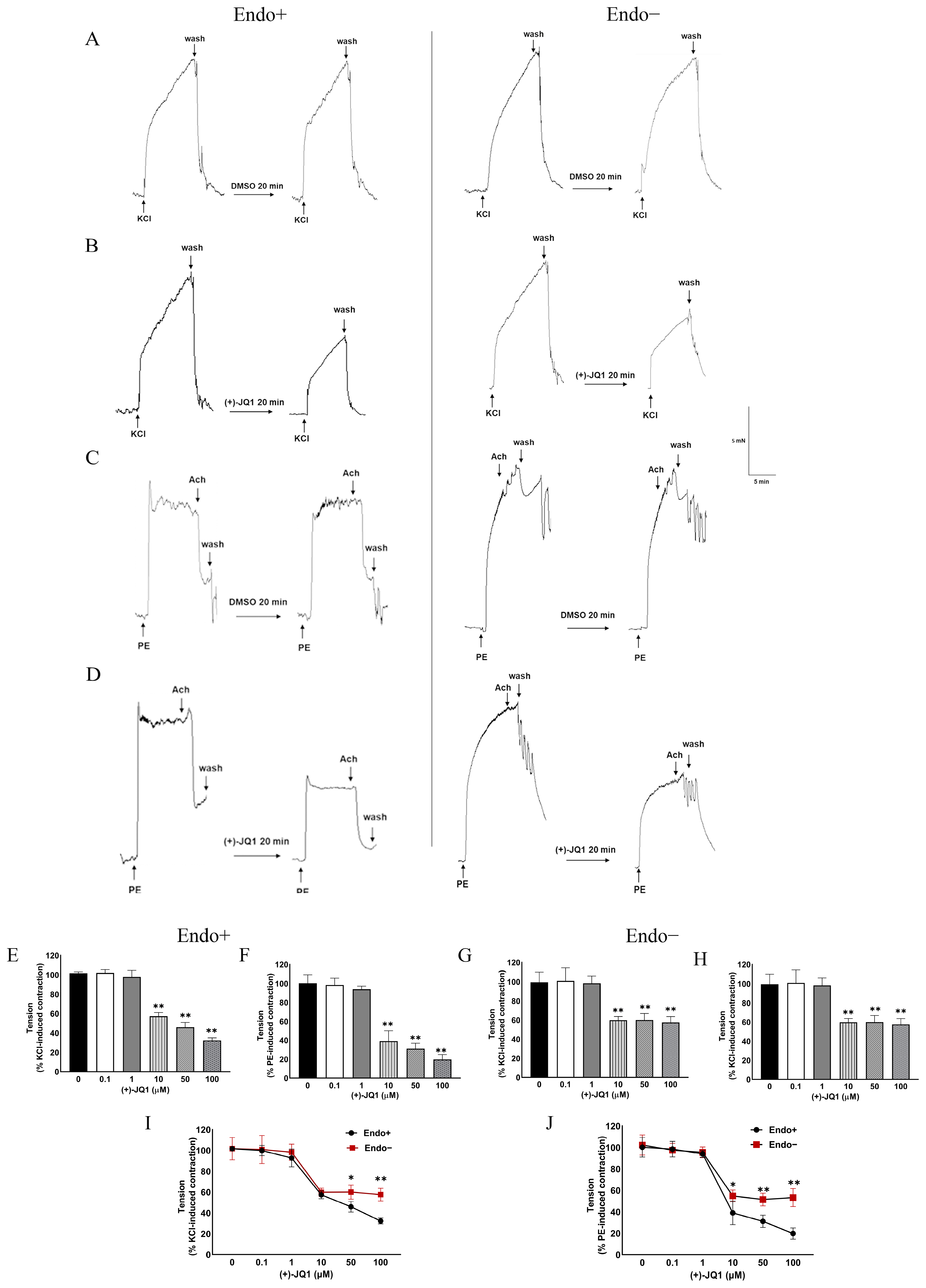 Cells 12 01461 g001 Cells 12 01461 g001