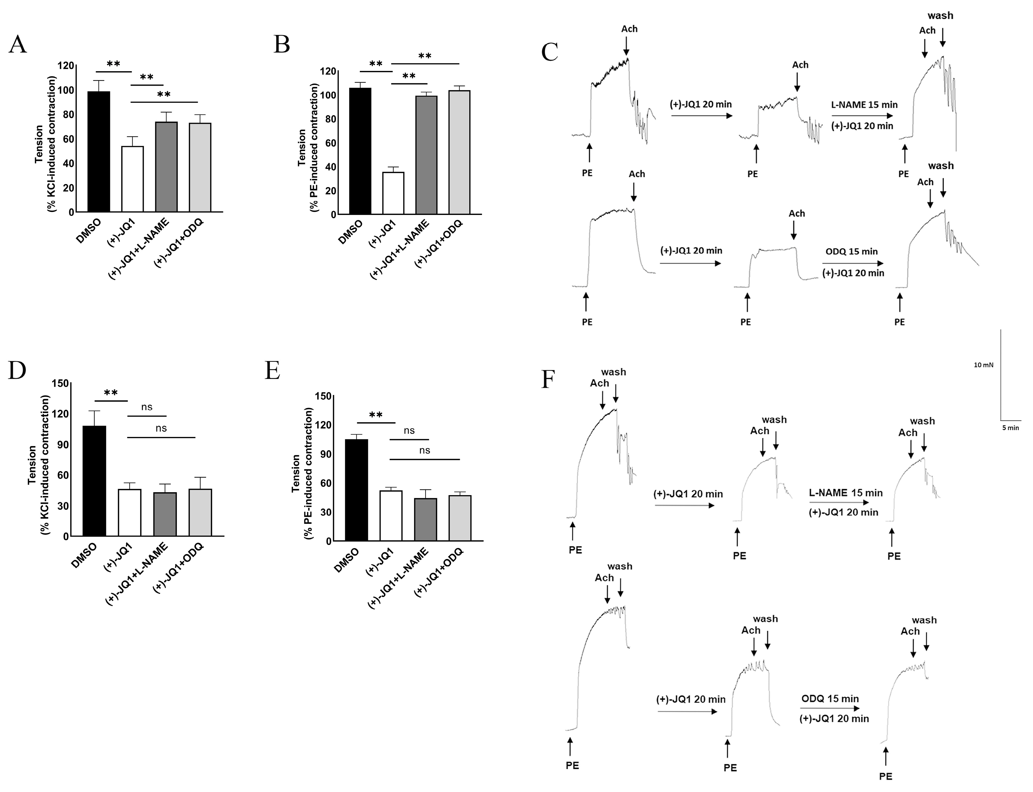 Cells 12 01461 g002 Cells 12 01461 g002