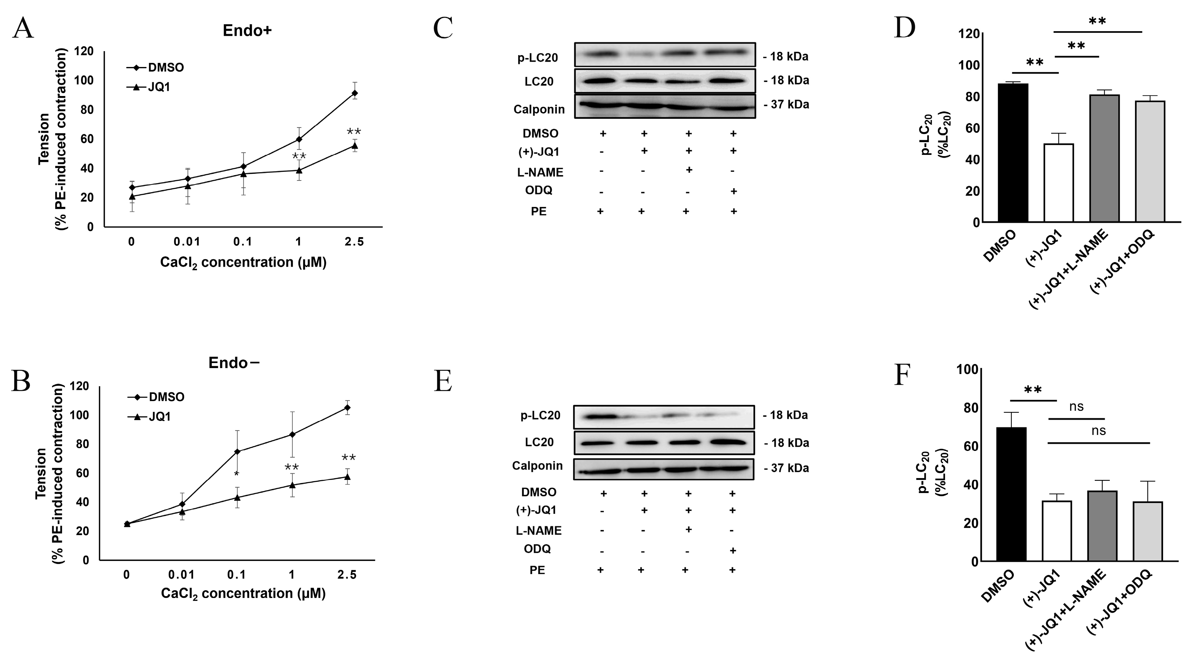 Cells 12 01461 g003 Cells 12 01461 g003