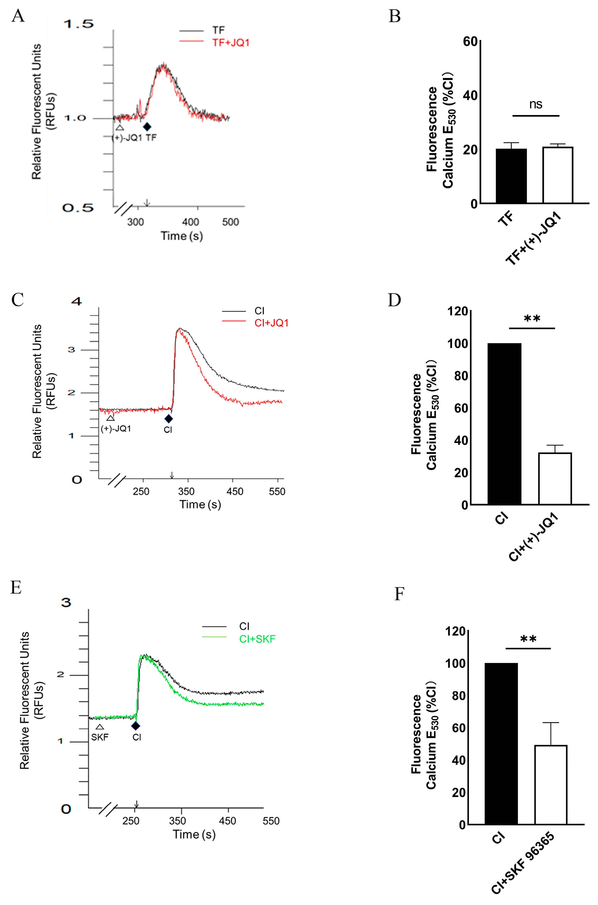 Cells 12 01461 g004 Cells 12 01461 g004