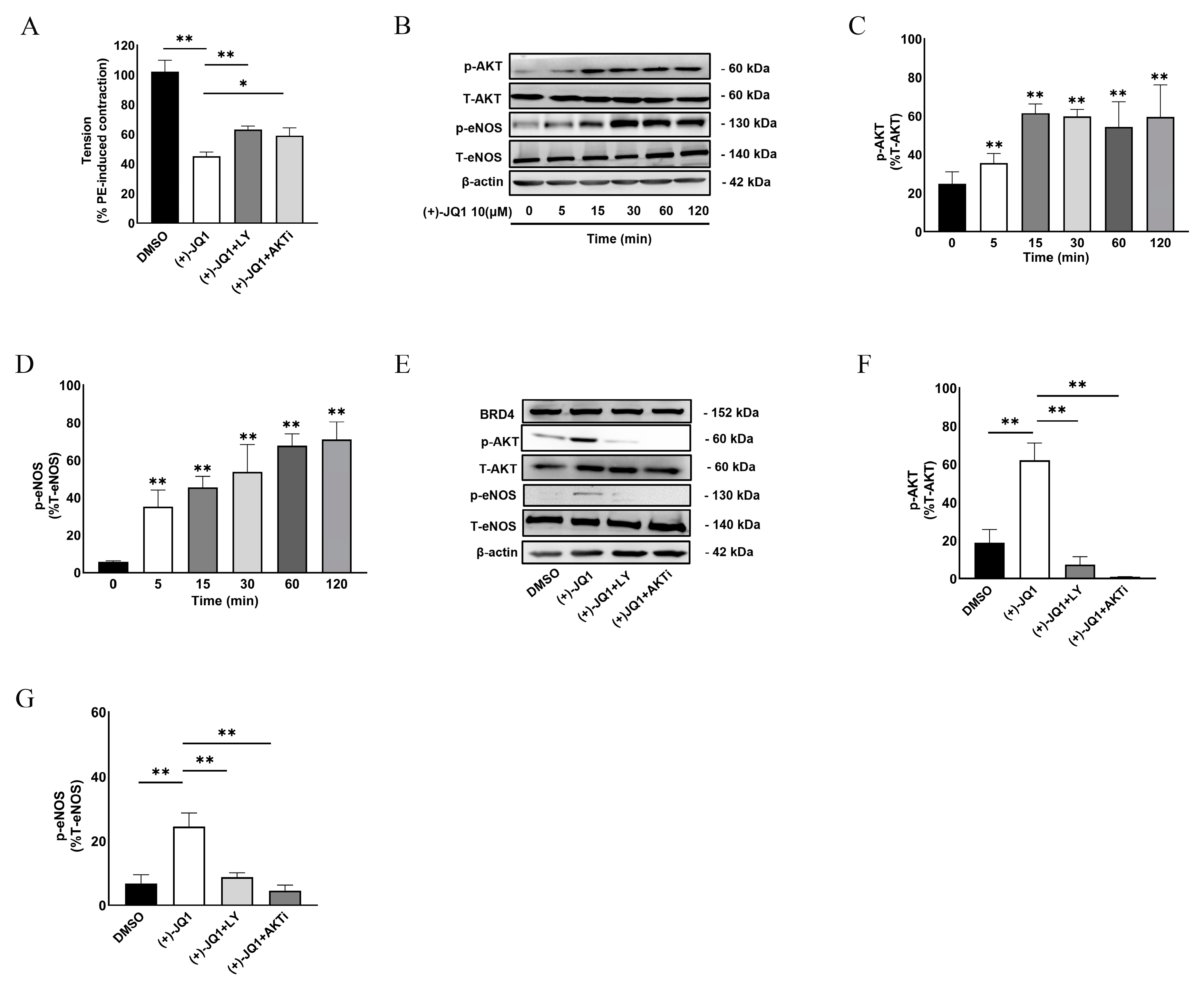Cells 12 01461 g006 Cells 12 01461 g006