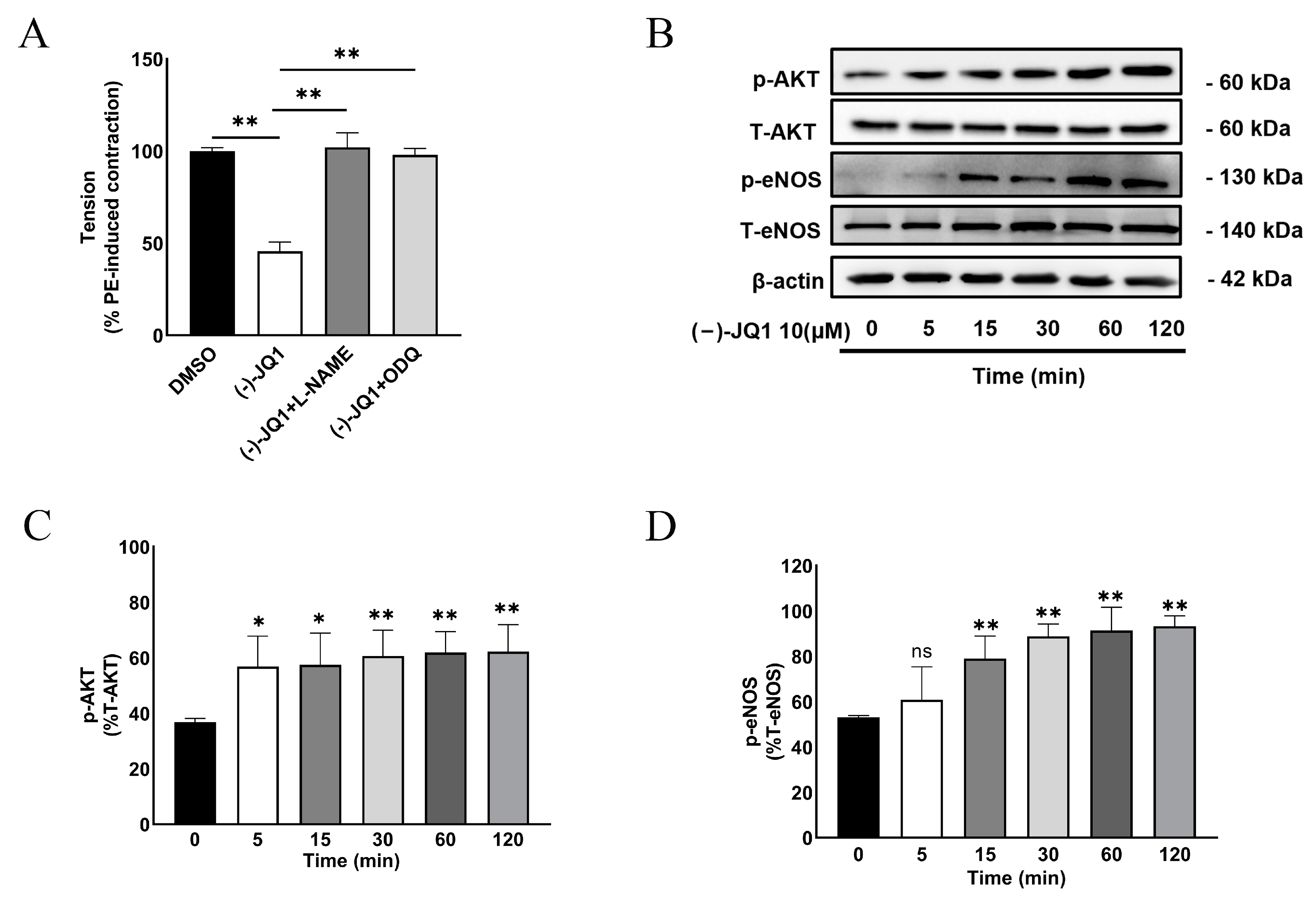 Cells 12 01461 g007 Cells 12 01461 g007