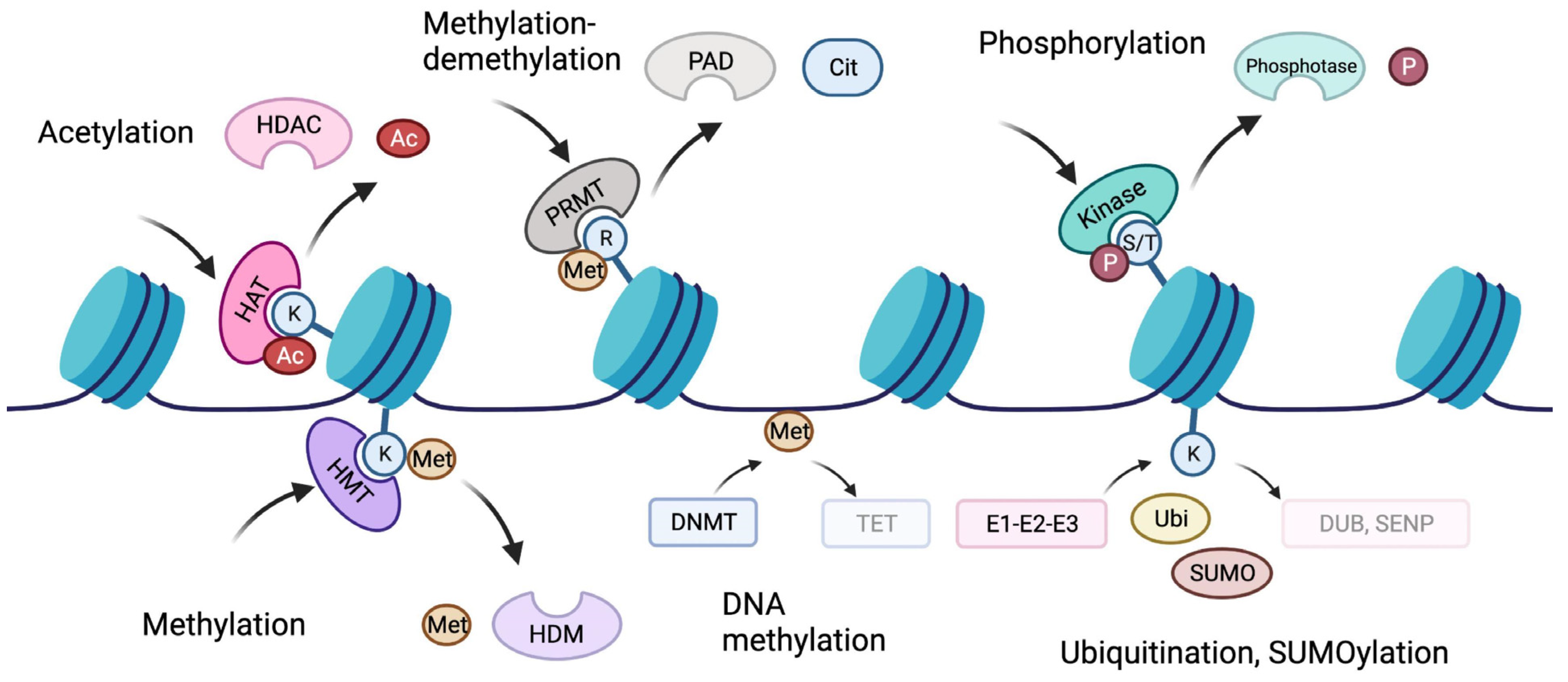 Cells 12 01464 g002 Cells 12 01464 g002