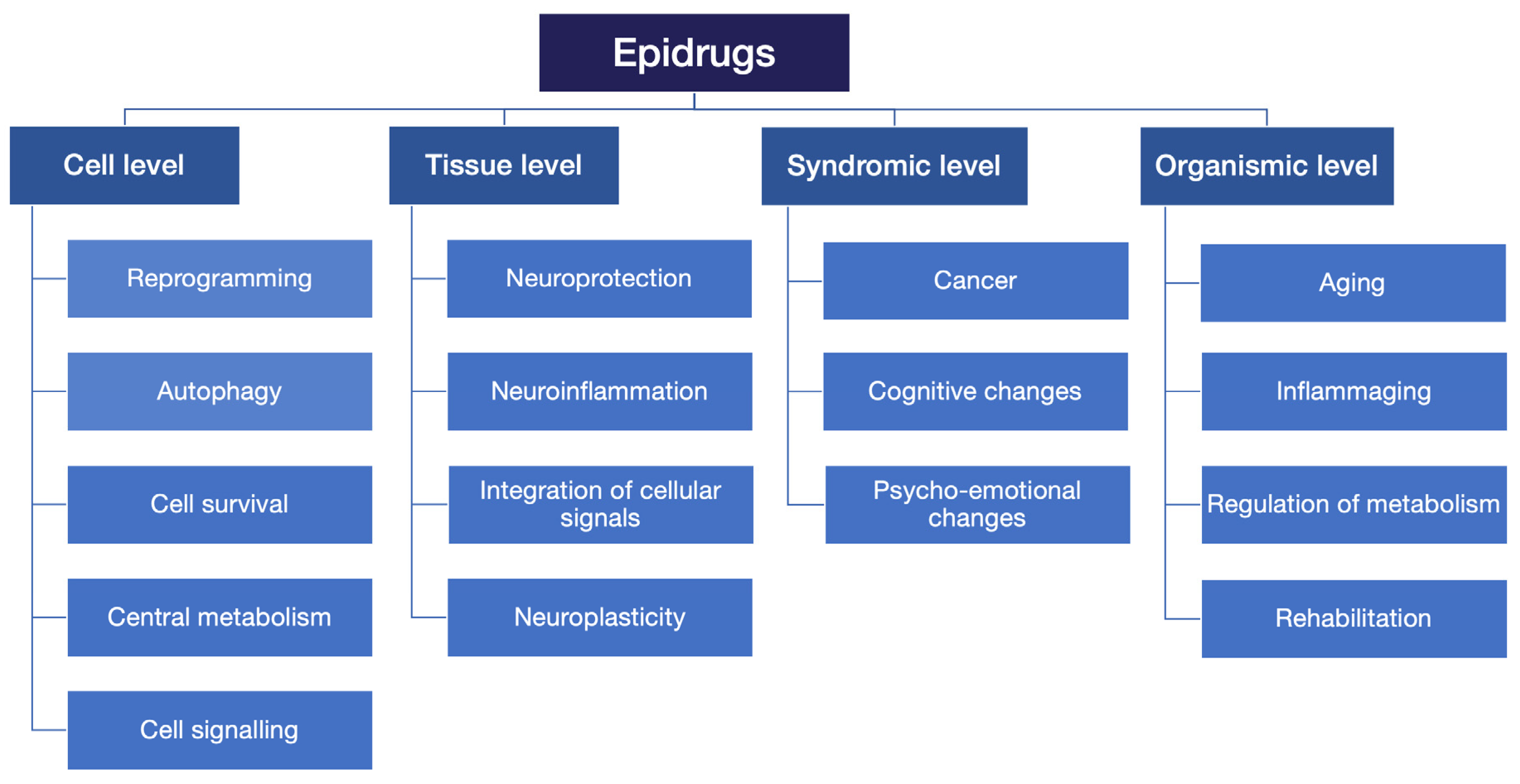 Cells 12 01464 g003 Cells 12 01464 g003