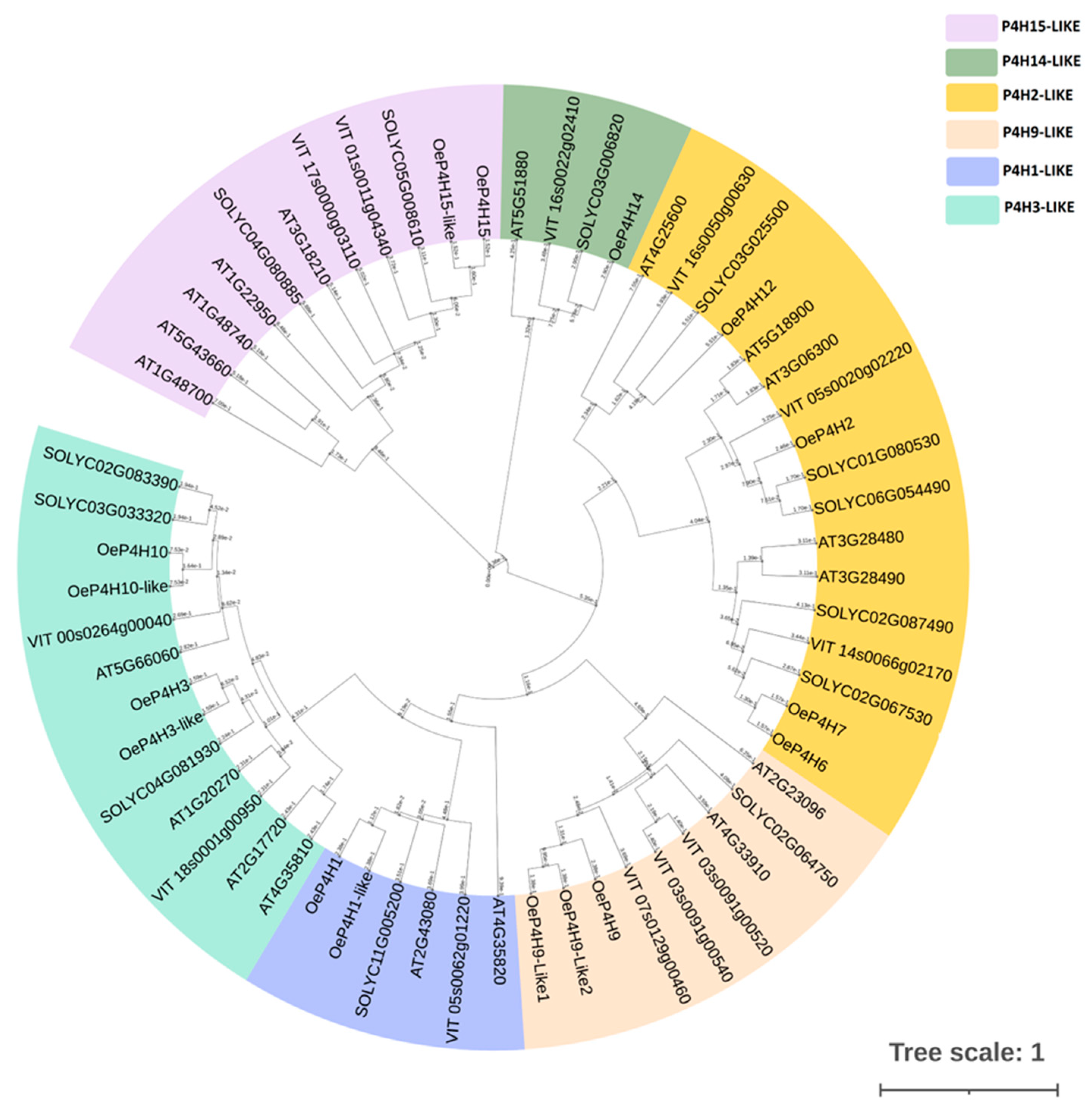 Cells 12 01466 g003 Cells 12 01466 g003